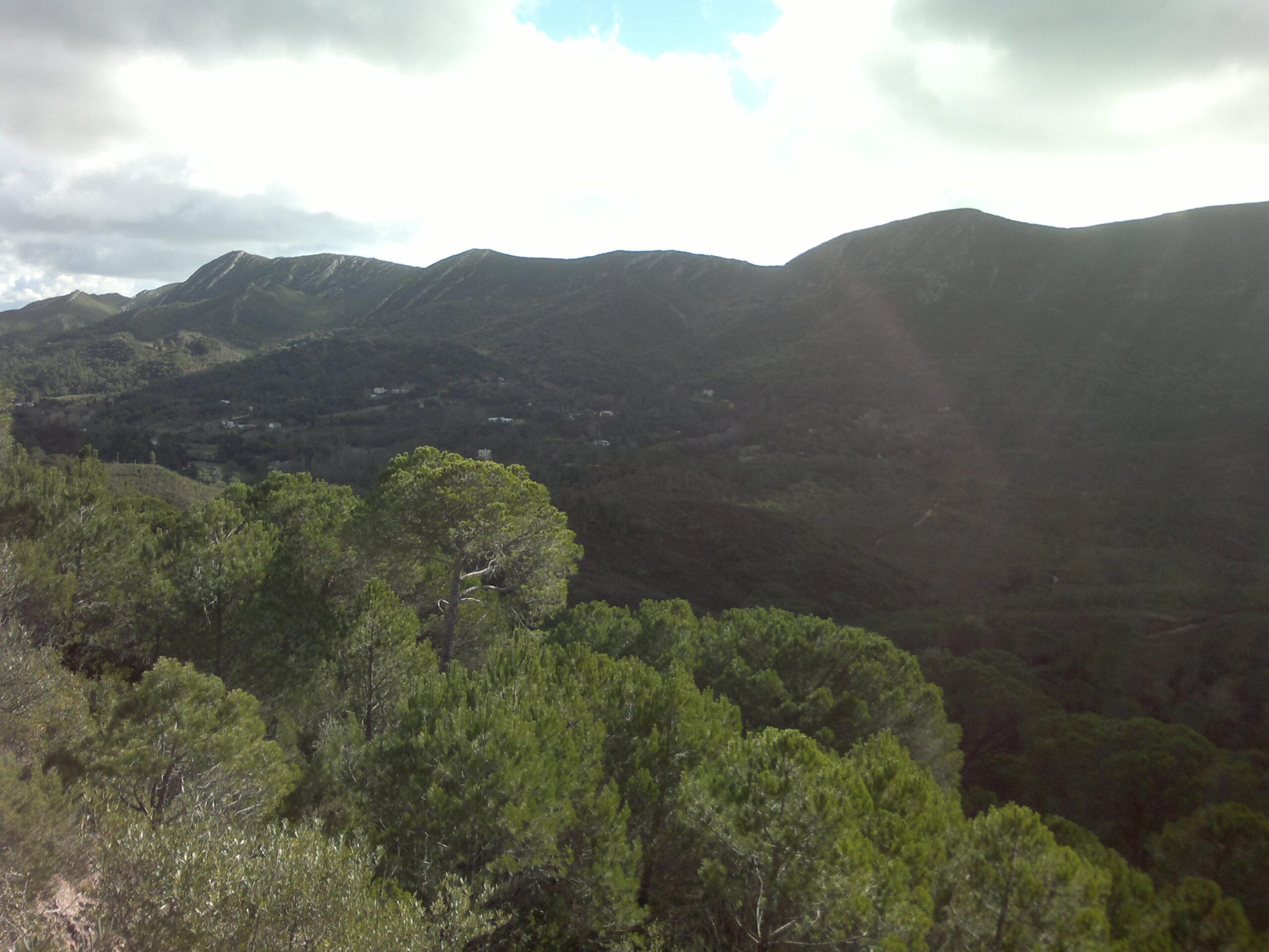 A scenic view of green mountainous terrain under a cloudy sky, featuring dense pine trees in the foreground and rolling hills in the background. Sunlight filters through the clouds, illuminating the landscape. Arrabida mountain bike trail.