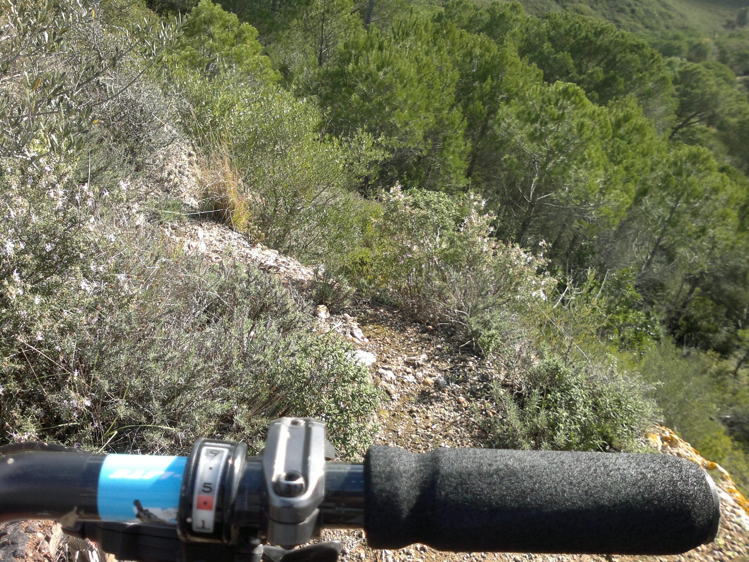 Alt text: Close-up view of a mountain bike handlebar with a grip and gear shifter, overlooking a rocky trail surrounded by lush green vegetation and trees. Arrabida mountain bike trail.