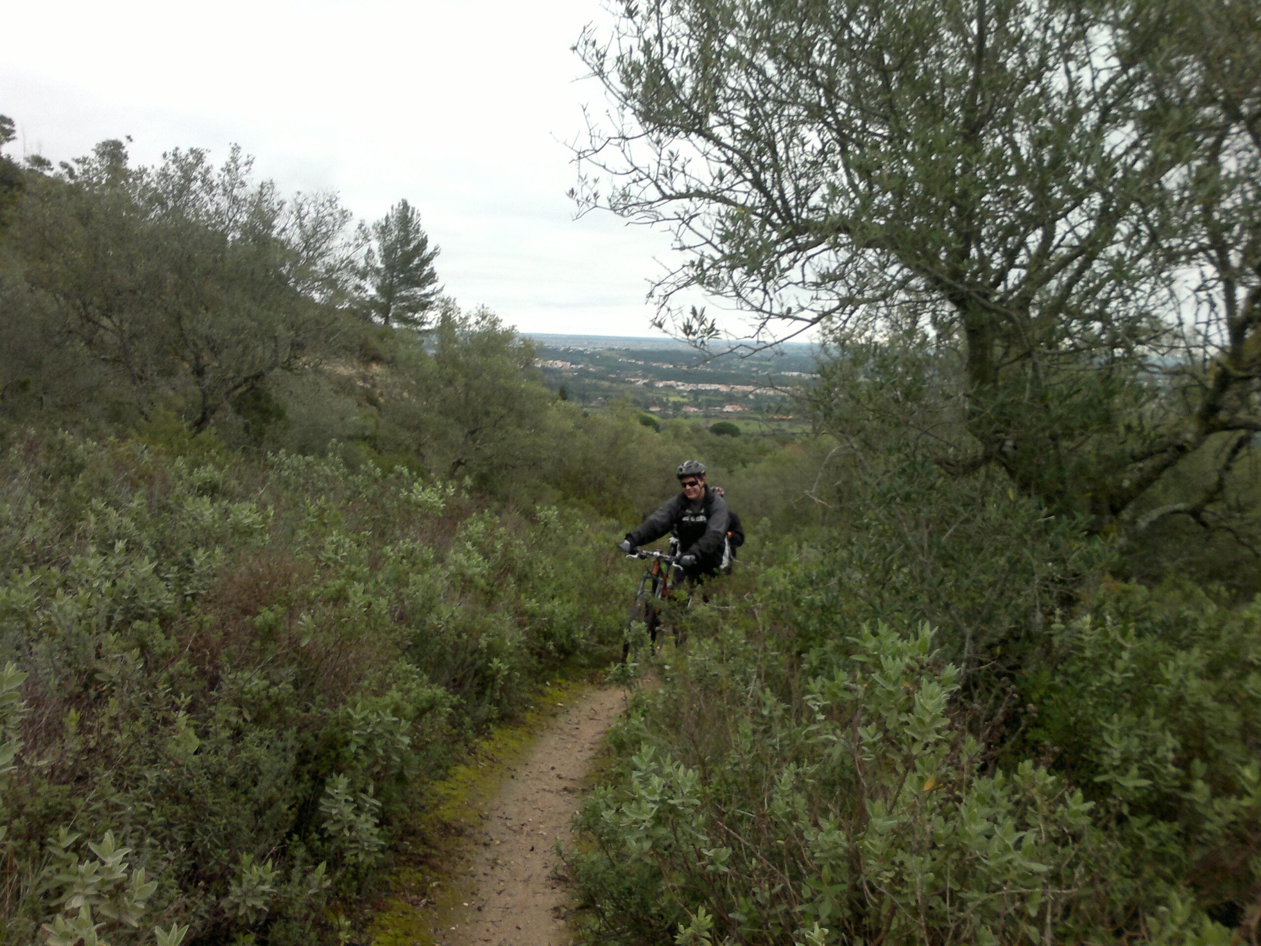 A cyclist riding a mountain bike along a dirt trail surrounded by greenery and trees, with a scenic landscape visible in the background under a cloudy sky. Arrabida mountain bike trail.
