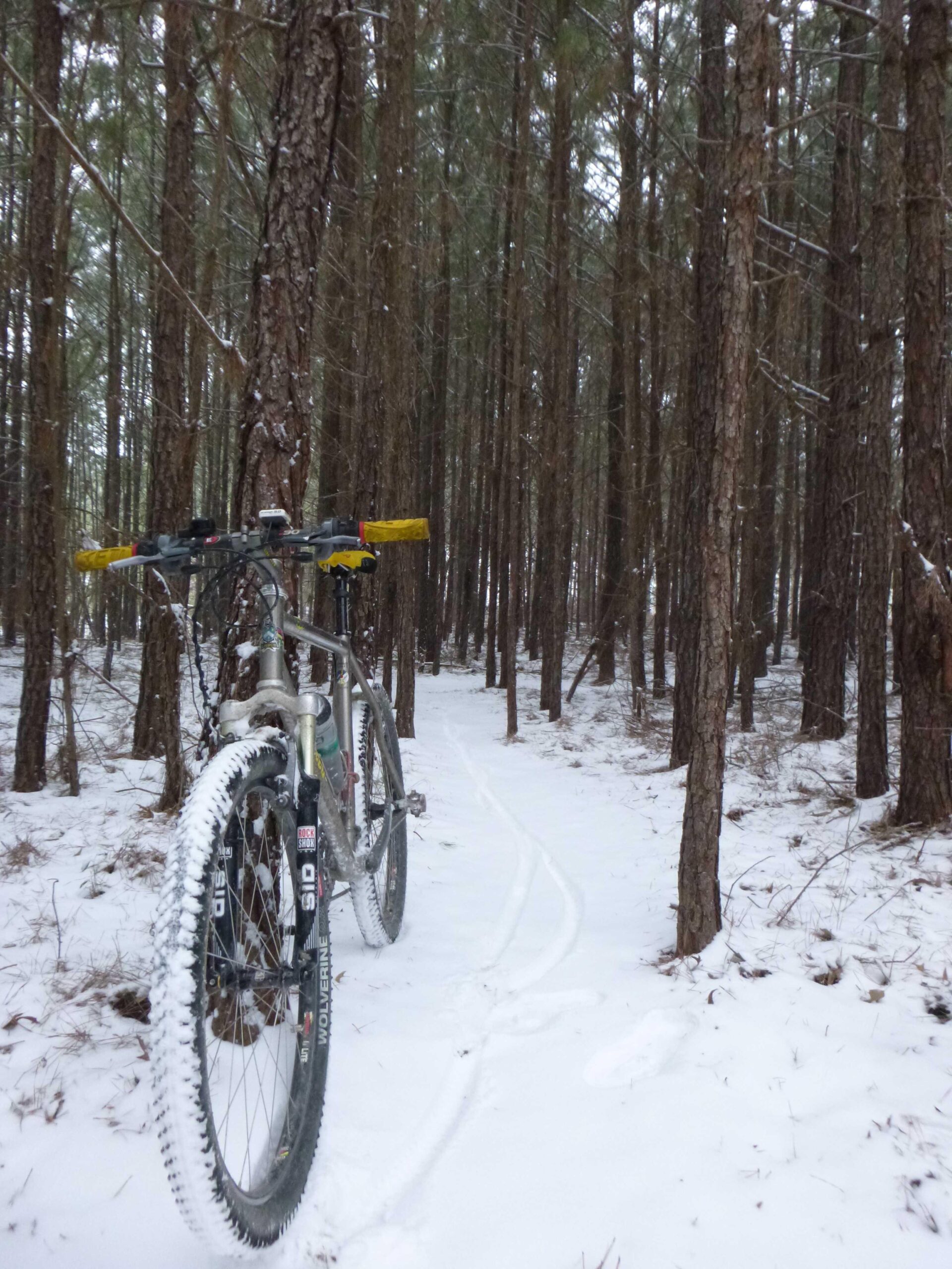A mountain bike parked on a snowy trail in a dense forest of tall trees, with snow covering the ground and branches. The bike's tires are slightly coated in snow, and faint tire tracks are visible in the snow beside the bike.