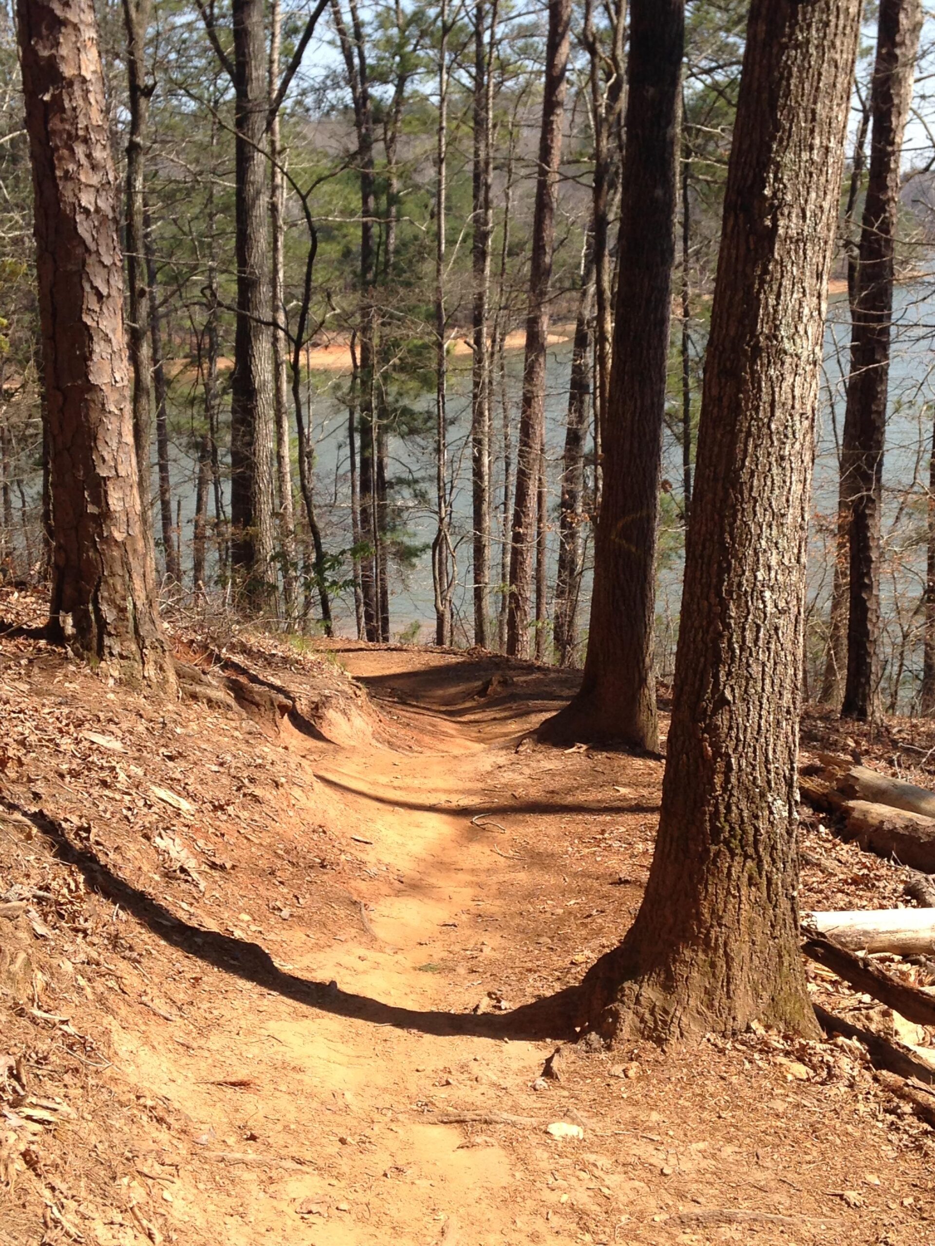 A winding dirt path through a forest, flanked by tall trees with textured bark, leading towards a serene lake visible in the background. The ground is covered in fallen leaves and twigs, with a warm, earthy color of the path contrasting against the greenery of the surrounding trees. Blankets Creek mountain bike trail.
