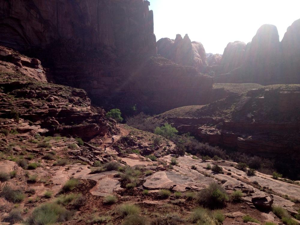 A sunlit canyon landscape featuring rugged rock formations, scattered vegetation, and a winding path leading through the terrain. The scene captures the natural beauty and geological features of the area, with cliffs rising in the background and a hint of green foliage in the foreground. Amasa Back Area mountain bike trail.