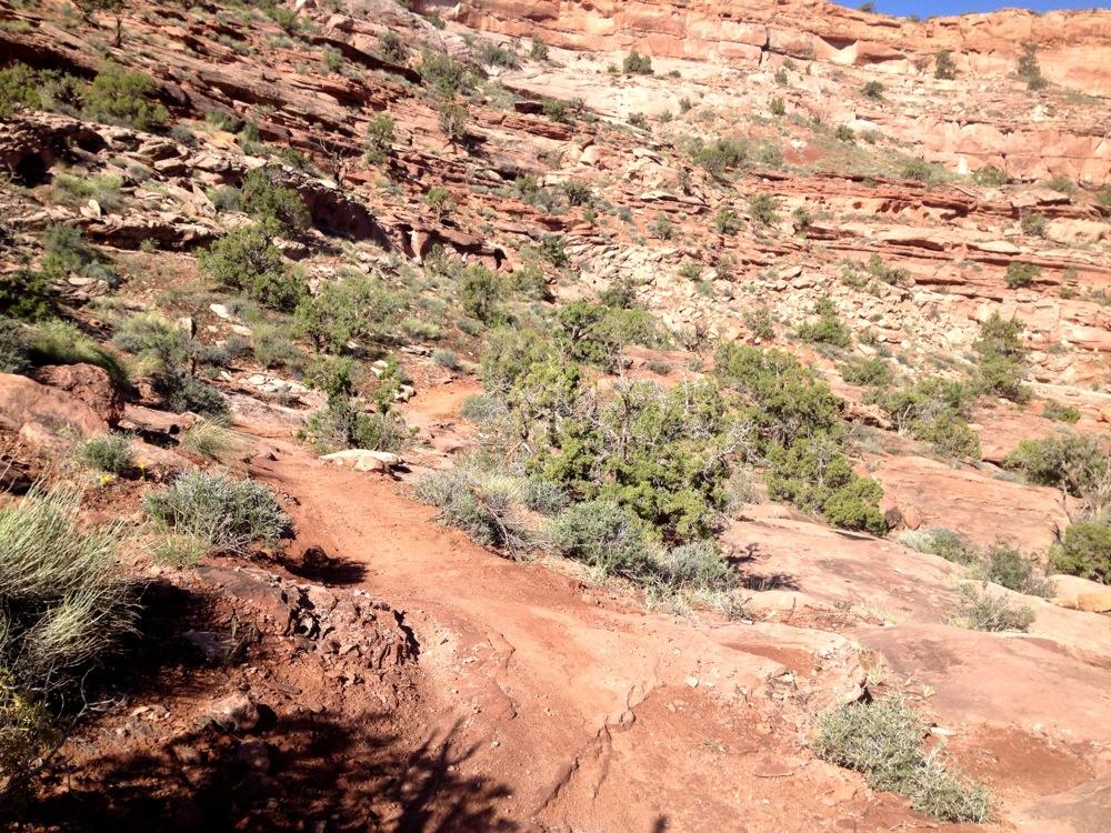 A rocky terrain with a winding dirt path leads through sparse vegetation, including small shrubs and grasses, among rugged red cliffs and rock formations under a clear blue sky. Hymasa mountain bike trail.