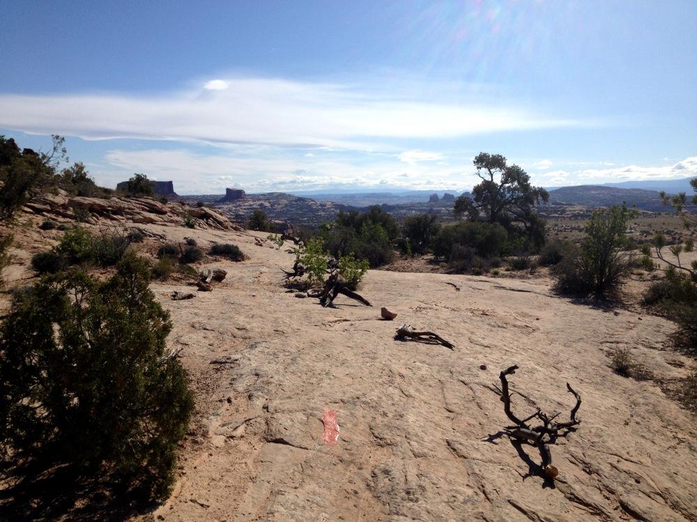 A scenic view of a rocky landscape under a clear blue sky, featuring sparse vegetation including shrubs and small trees. The terrain is mostly barren rock with some visible branches and stones scattered across the ground. In the distance, flat-topped mesas and distant mountains can be seen, creating an expansive and rugged natural setting. Ramblin' mountain bike trail.