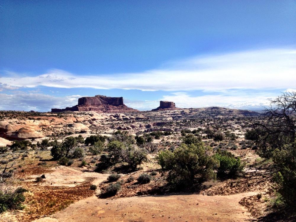 A vast desert landscape featuring rocky formations and mesas under a blue sky with scattered clouds. Vegetation, including shrubs and small trees, is visible in the foreground, emphasizing the arid environment. The scene showcases a serene, natural beauty typical of southwestern terrain. Ramblin
