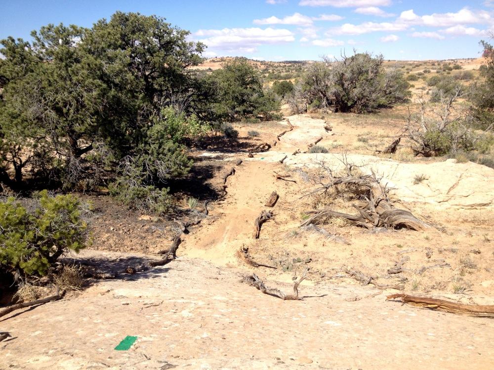 A narrow dirt path winding through a dry, rocky landscape, surrounded by sparse vegetation and low trees. The scene features light brown soil, scattered branches, and patches of greenery, with a broad sky overhead dotted with few clouds. Rocky Tops mountain bike trail.