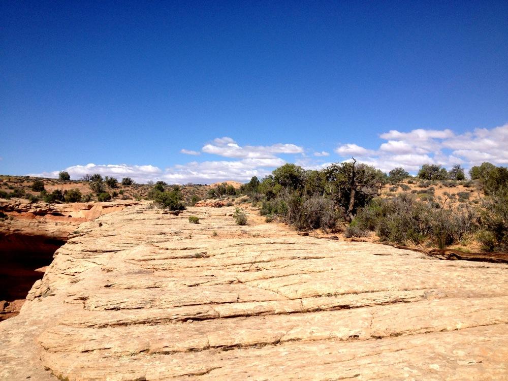 A rocky landscape with layered stone formations extending into the distance, surrounded by sparse vegetation and shrubs, under a bright blue sky with a few white clouds. Rocky Tops mountain bike trail.