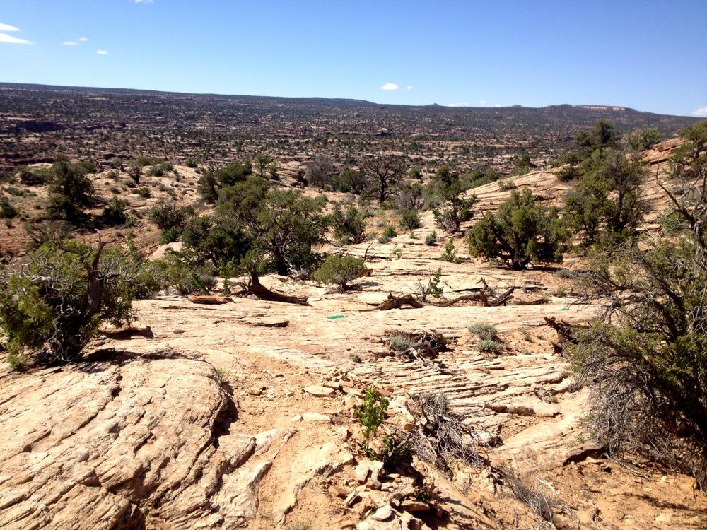 A rocky landscape featuring layered stone formations and scattered vegetation, including small trees and shrubs, under a clear blue sky. The scene showcases the natural terrain stretching into the distance, highlighting the rugged beauty of the area. Rocky Tops mountain bike trail.