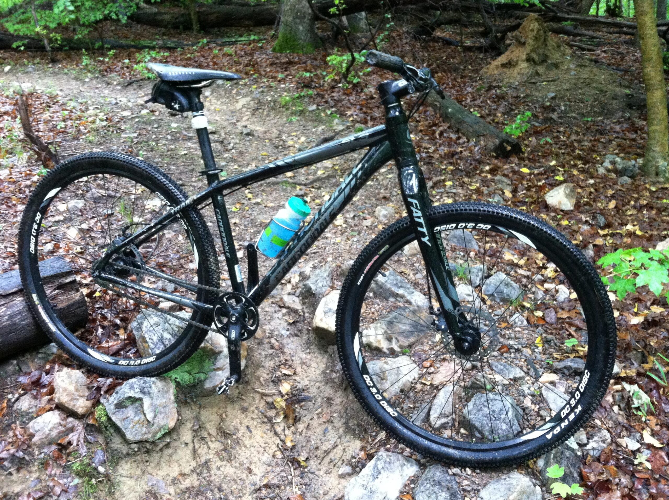 Cannondale Trail SL 29 SS: A black mountain bike with thick tires and a water bottle attached, positioned on rocky terrain in a forested area with fallen leaves and greenery in the background.