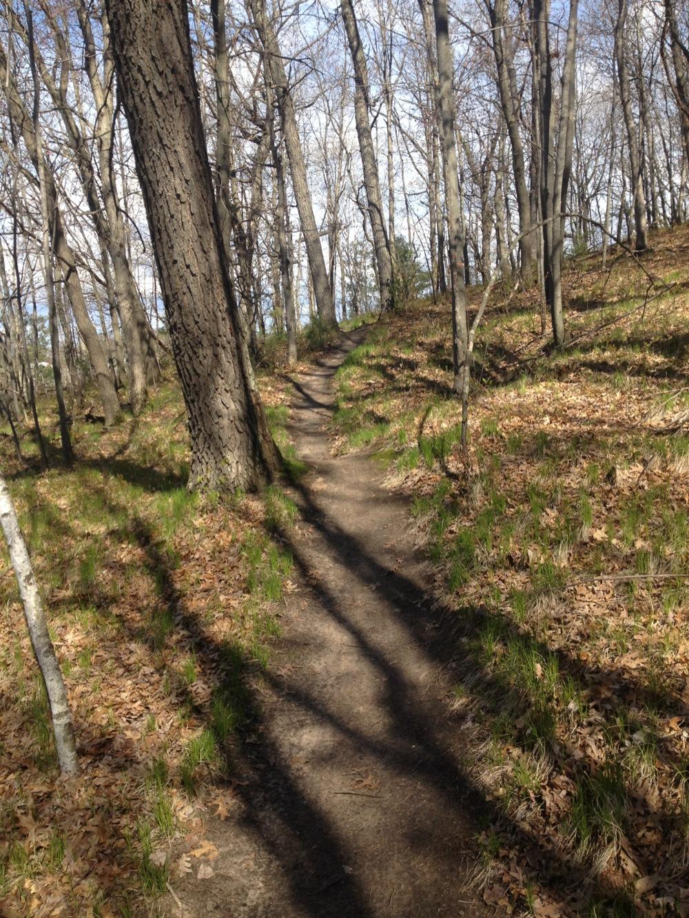 A narrow dirt path winding through a sparse forest, surrounded by tall, bare trees and patches of green grass. The ground is covered with fallen leaves, and a clear blue sky is visible above. Northwest Park mountain bike trail.