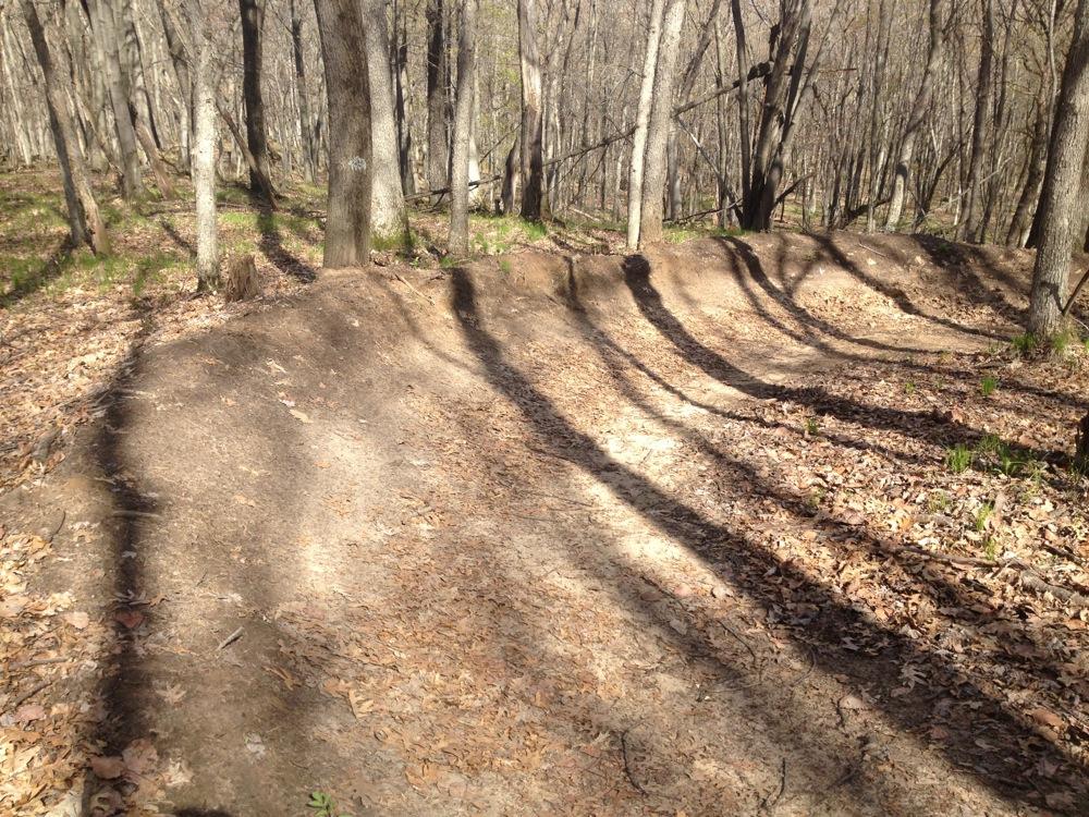 A winding dirt path through a forested area, surrounded by tree trunks and scattered leaves, with shadows cast across the ground by the trees on a sunny day. Northwest Park mountain bike trail.