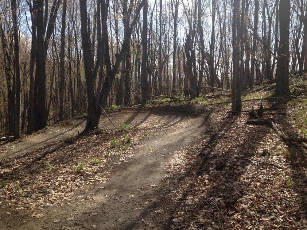 A winding dirt path through a wooded area, surrounded by tall trees with sparse leaves. Sunlight filters through the branches, casting shadows on the trail covered in fallen leaves and small patches of green grass. Northwest Park mountain bike trail.
