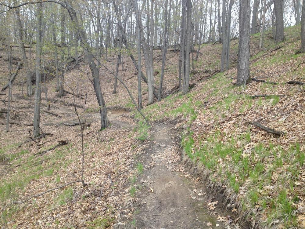 A winding dirt path through a forested area with sparse, leafless trees and patches of green grass emerging. Fallen leaves cover the ground, indicating early spring or late autumn. The path gently slopes uphill and is framed by ridges and tree trunks. Northwest Park mountain bike trail.