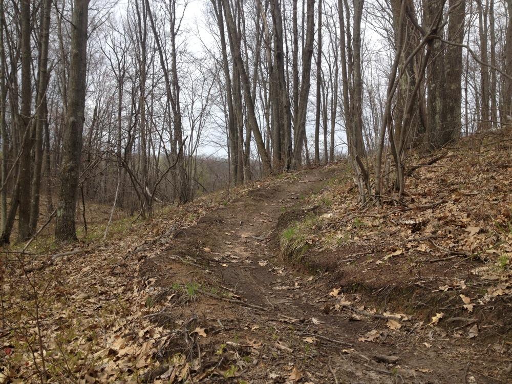 A dirt trail winding through a wooded area, surrounded by bare trees and scattered fallen leaves. The sky is overcast, hinting at a cool or damp day. The trail is uneven, showcasing signs of wear from foot traffic. Wildcat Trail mountain bike trail.