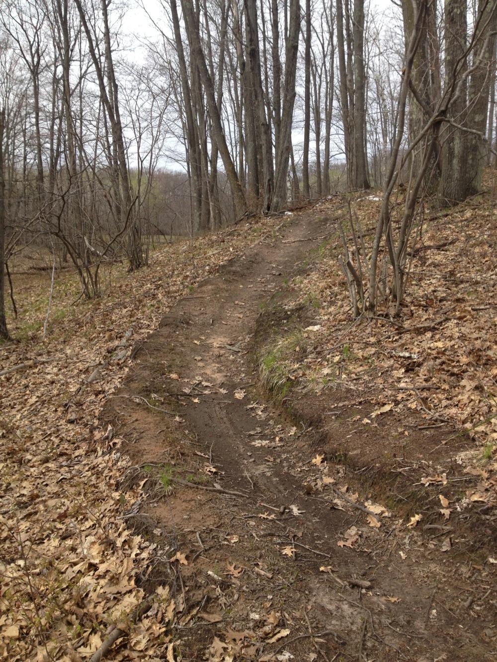 A dirt trail winding through a forest during early spring, surrounded by bare trees and scattered dry leaves on the ground. The path is slightly elevated on one side, showing a natural, unpaved surface. Wildcat Trail mountain bike trail.