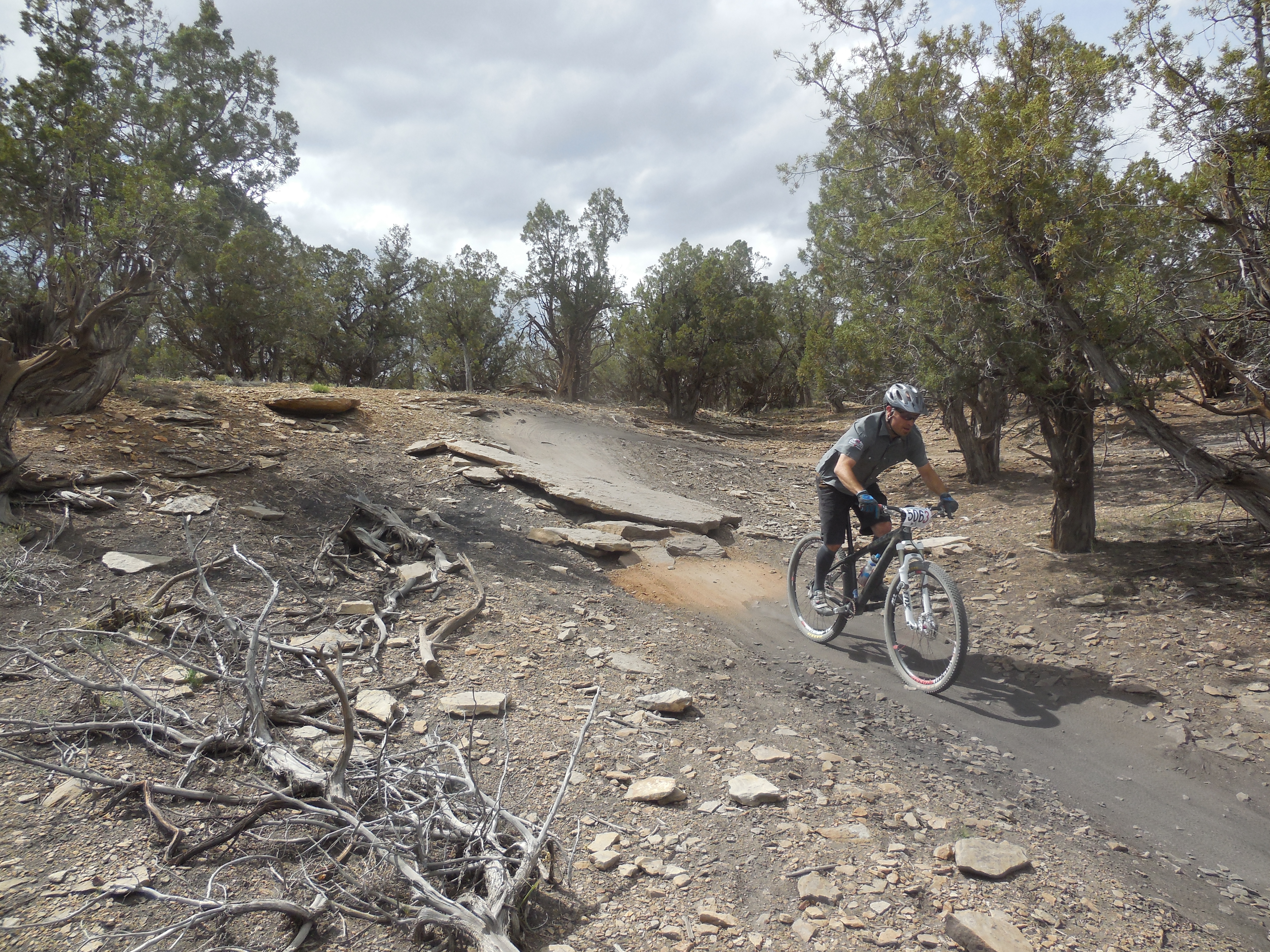 A mountain biker navigating a rocky trail surrounded by trees under a cloudy sky. The path is uneven with patches of dirt and scattered rocks.