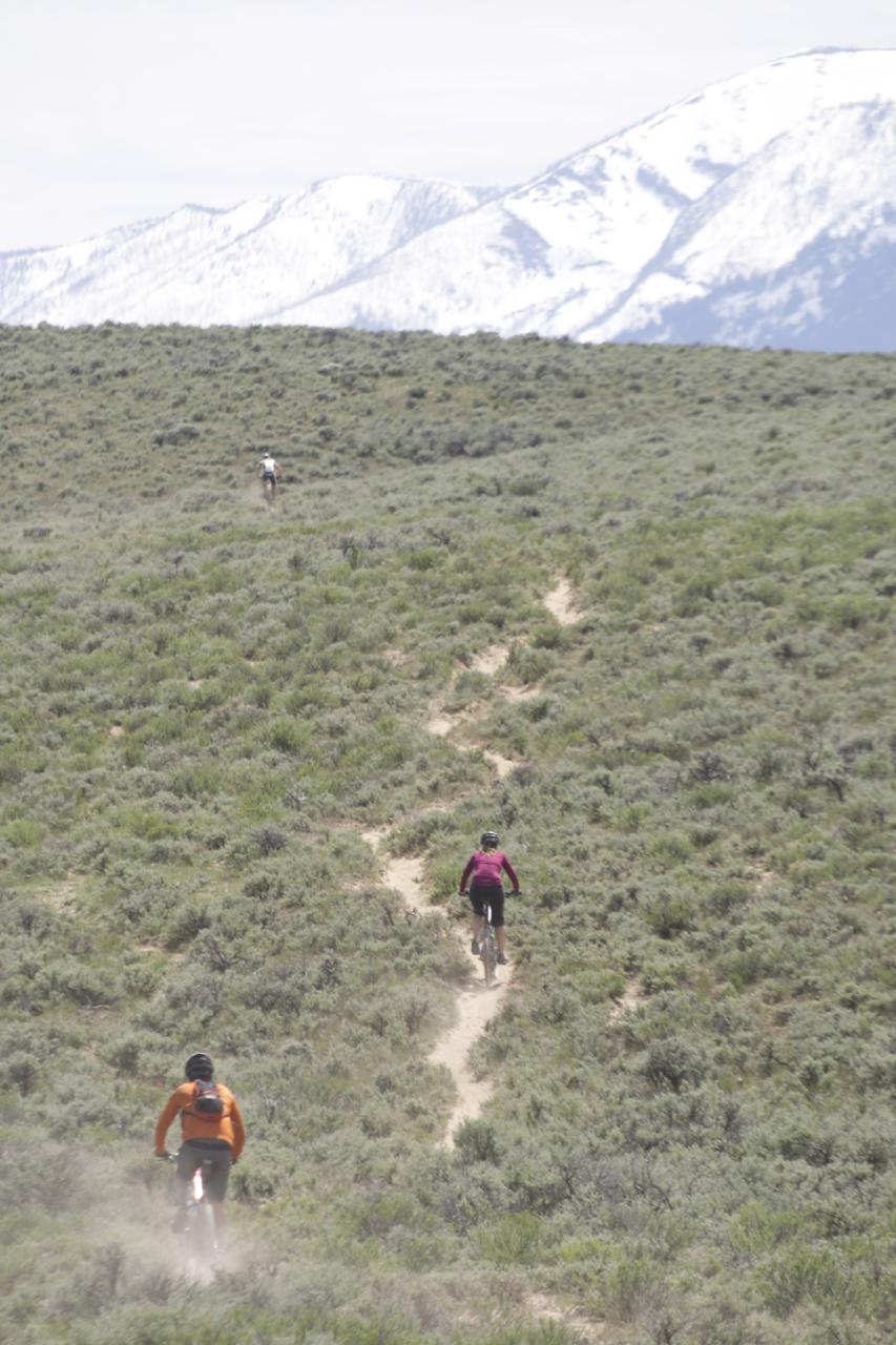 Three mountain bikers ride along a dusty trail in a grassy landscape, with snow-capped mountains visible in the background. The bikers are dressed in colorful cycling gear, and the lush greenery contrasts with the rocky terrain. The scene captures the essence of outdoor adventure and exploration. 12 Hours Of Disco Course mountain bike trail.