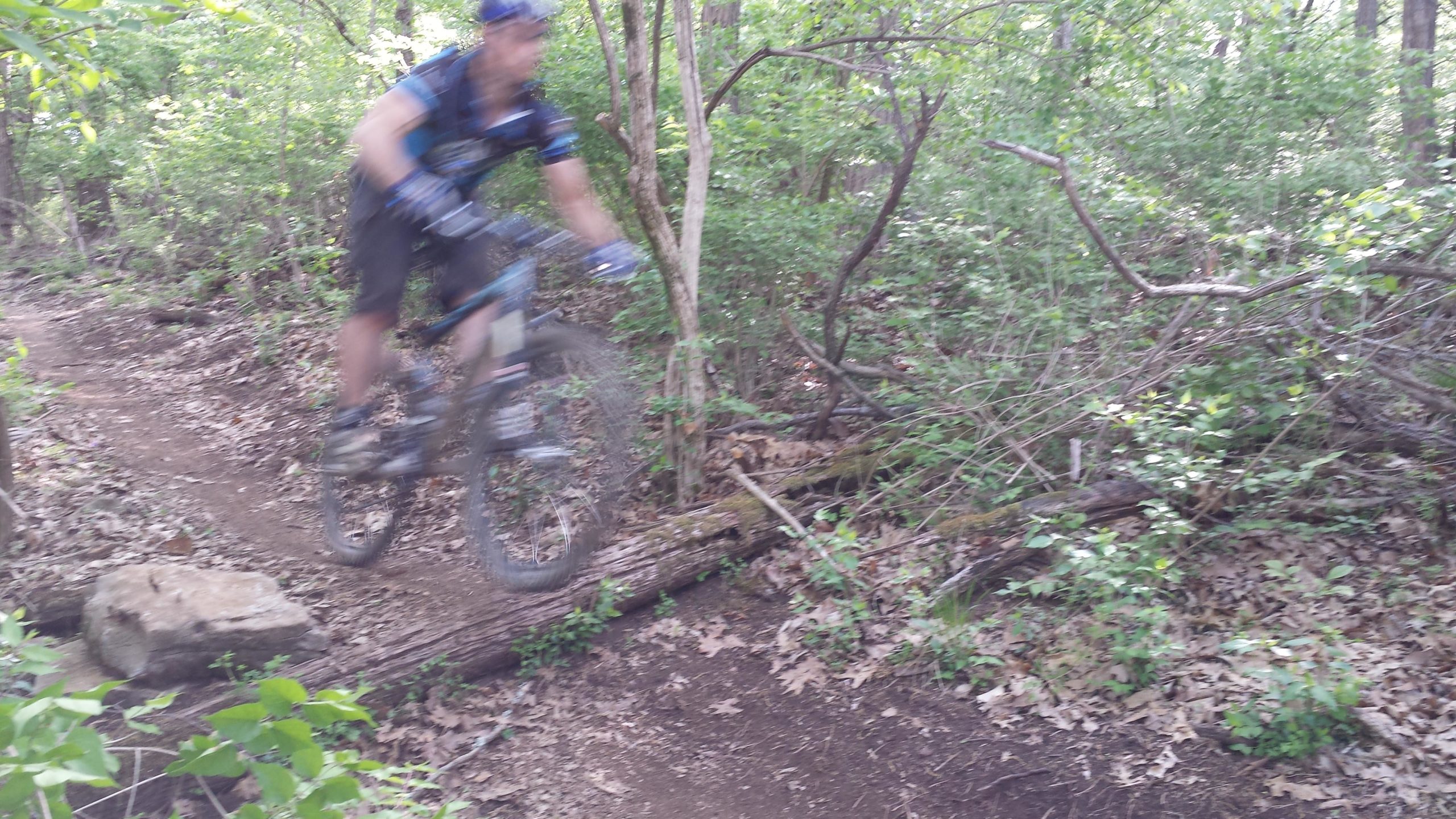 A mountain biker jumps over a fallen log on a dirt trail in a densely forested area, surrounded by green foliage and fallen leaves. The motion blur suggests high speed and action. Percy Warner Mountain Bike Trails mountain bike trail.