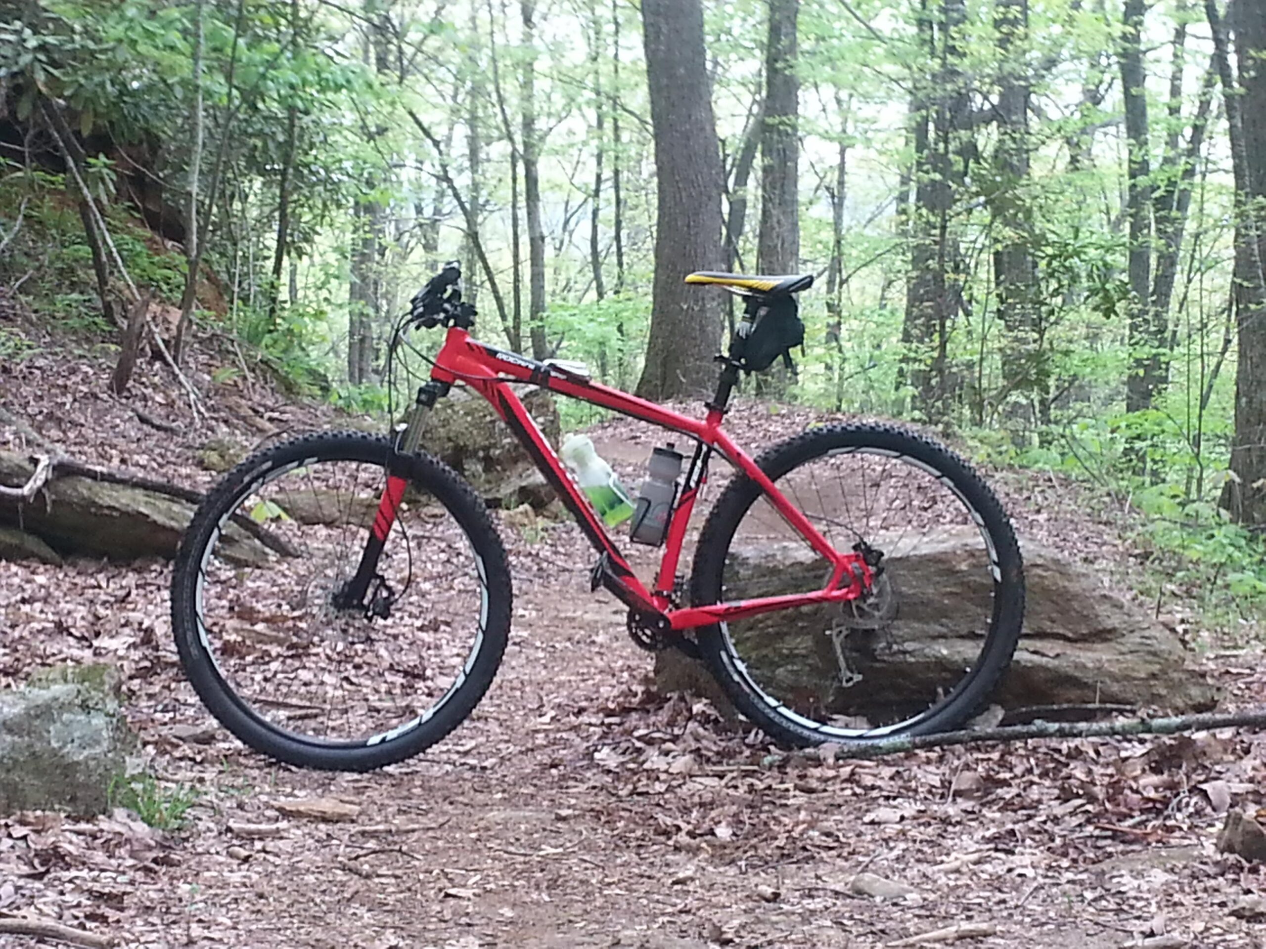 Specialized Rockhopper 29: A red mountain bike leaning against a large rock on a dirt trail, surrounded by green trees and fallen leaves.