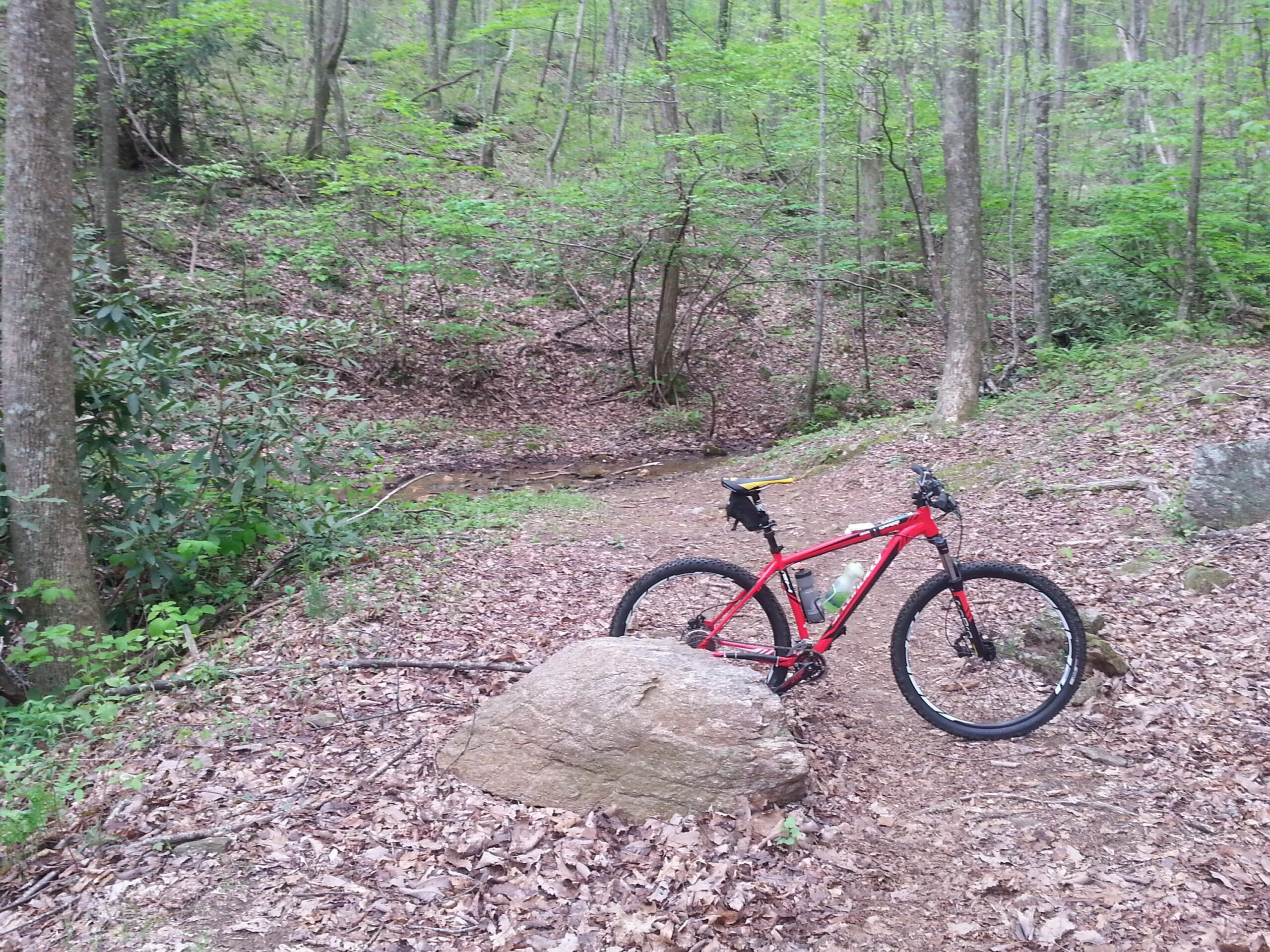 Specialized Rockhopper 29: A red mountain bike resting against a large rock on a forest trail, surrounded by lush green trees and fallen leaves, with a small stream visible in the background.