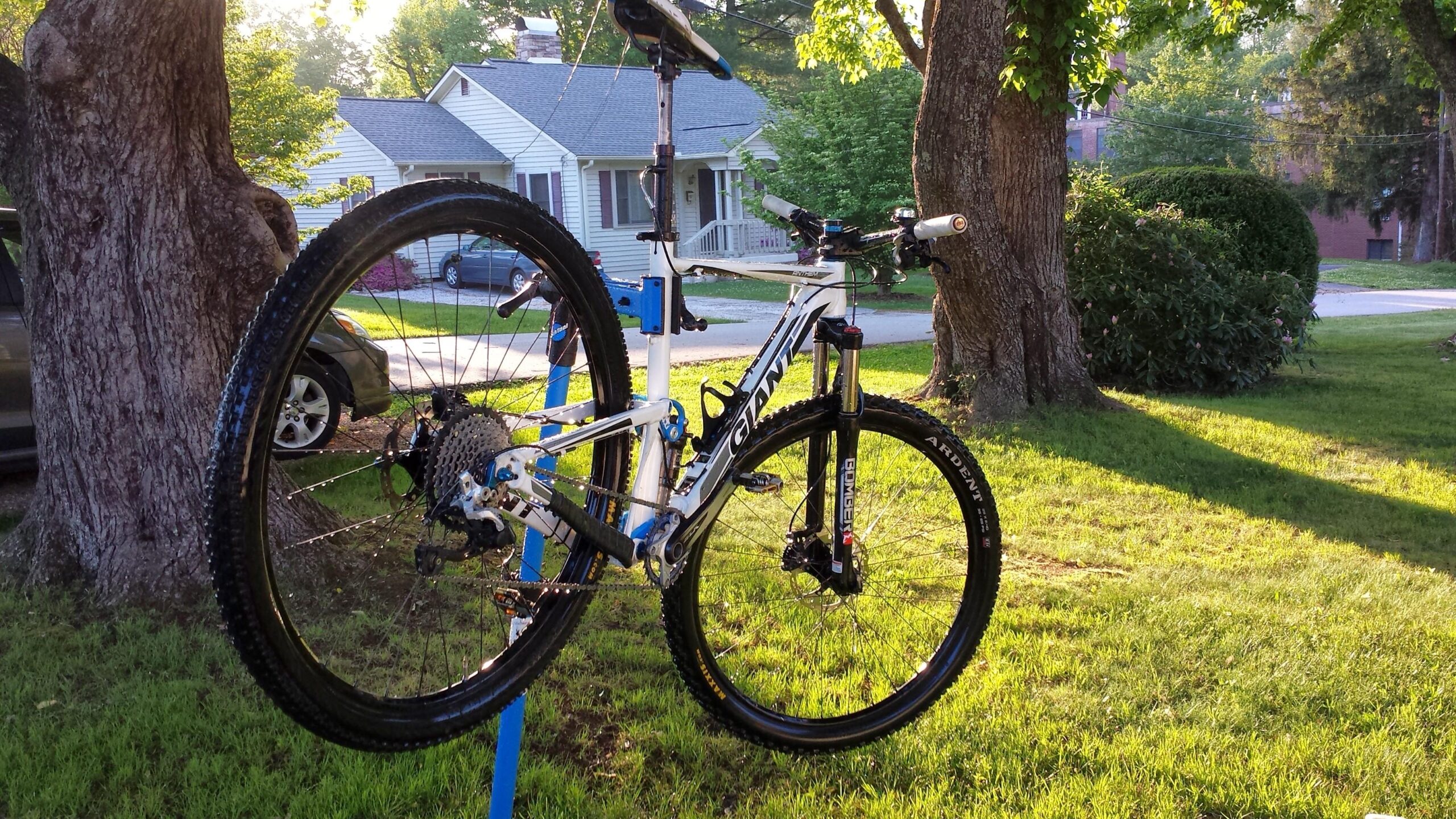 Giant Anthem X 29er 3: A mountain bike mounted on a repair stand in a grassy yard, with a tree in the background. The bike features a white frame with blue accents and black tires. The scene is illuminated by soft morning light, highlighting the bike's components and the surrounding residential area.