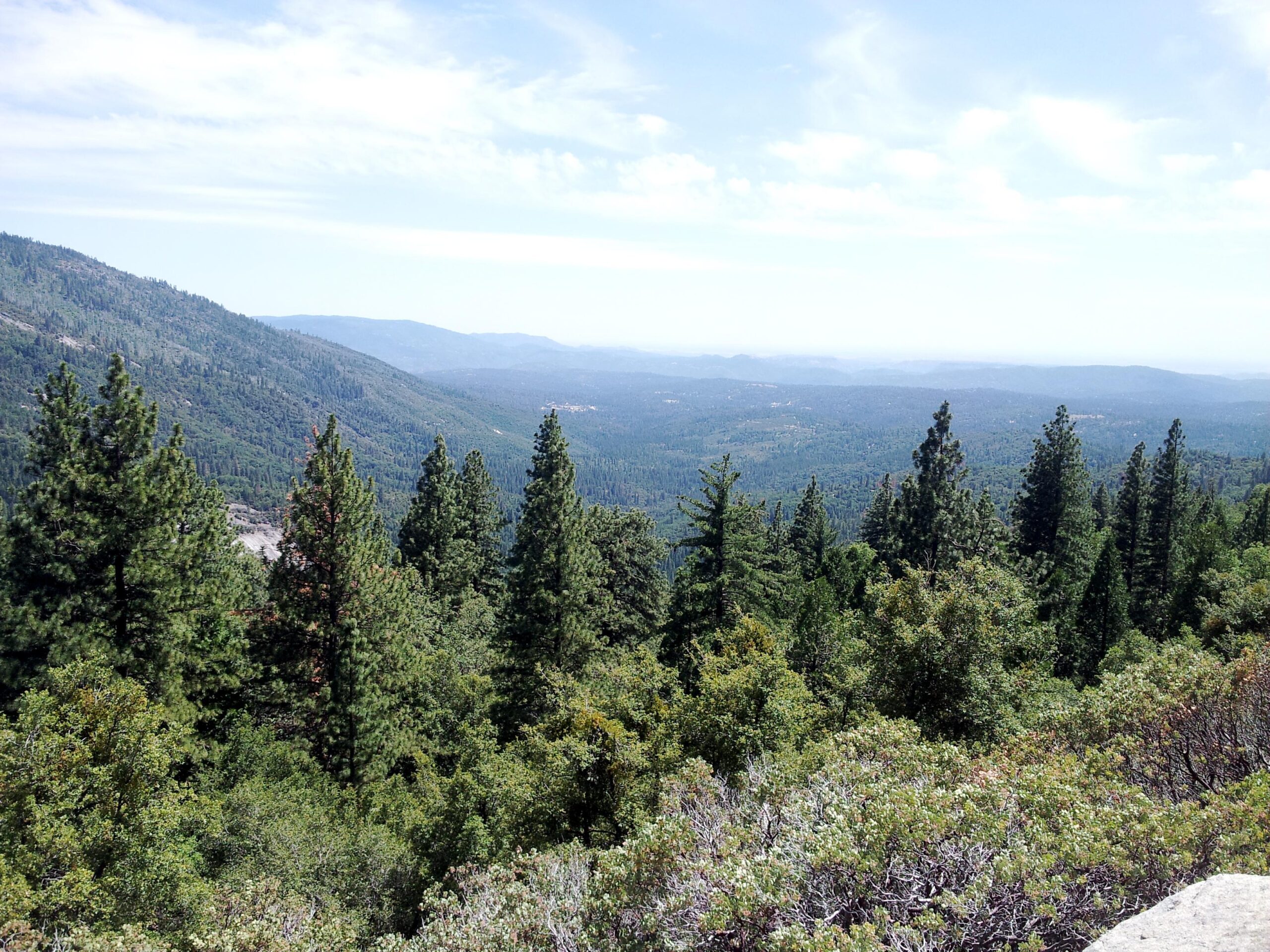 A panoramic view of a mountainous landscape featuring dense evergreen forests, rolling hills, and a clear blue sky with wispy clouds. The scene captures a tranquil natural setting, showcasing layers of green foliage and distant mountains. 007 mountain bike trail.