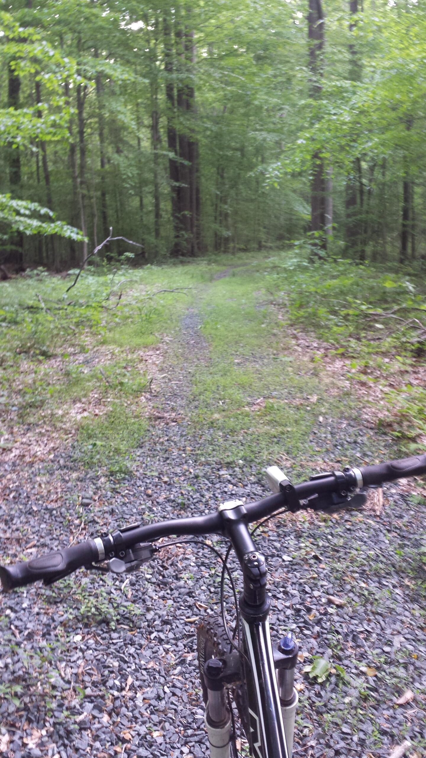 Mountain bike handlebars are in the foreground, pointing towards a winding gravel trail surrounded by lush green trees and foliage in a forest setting. Stoney Demonstration Forest State Park mountain bike trail.
