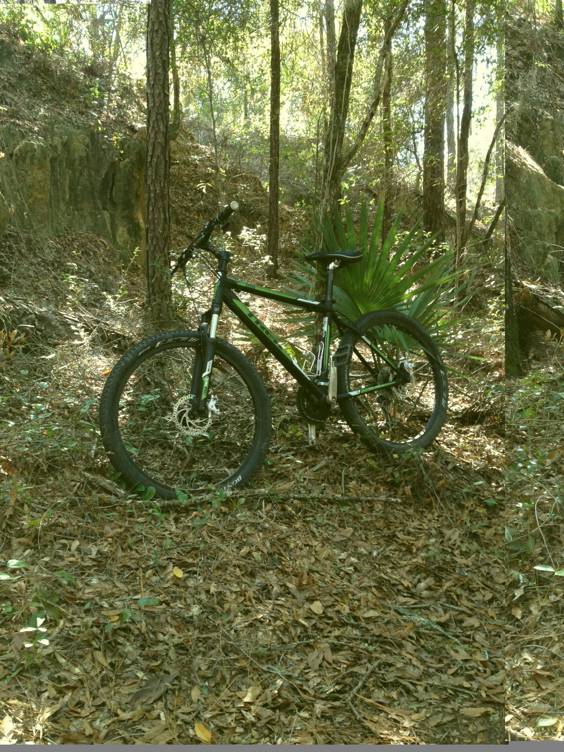 A black mountain bike resting on a bed of leaves in a sun-dappled forest, surrounded by trees and underbrush. Santos mountain bike trail.