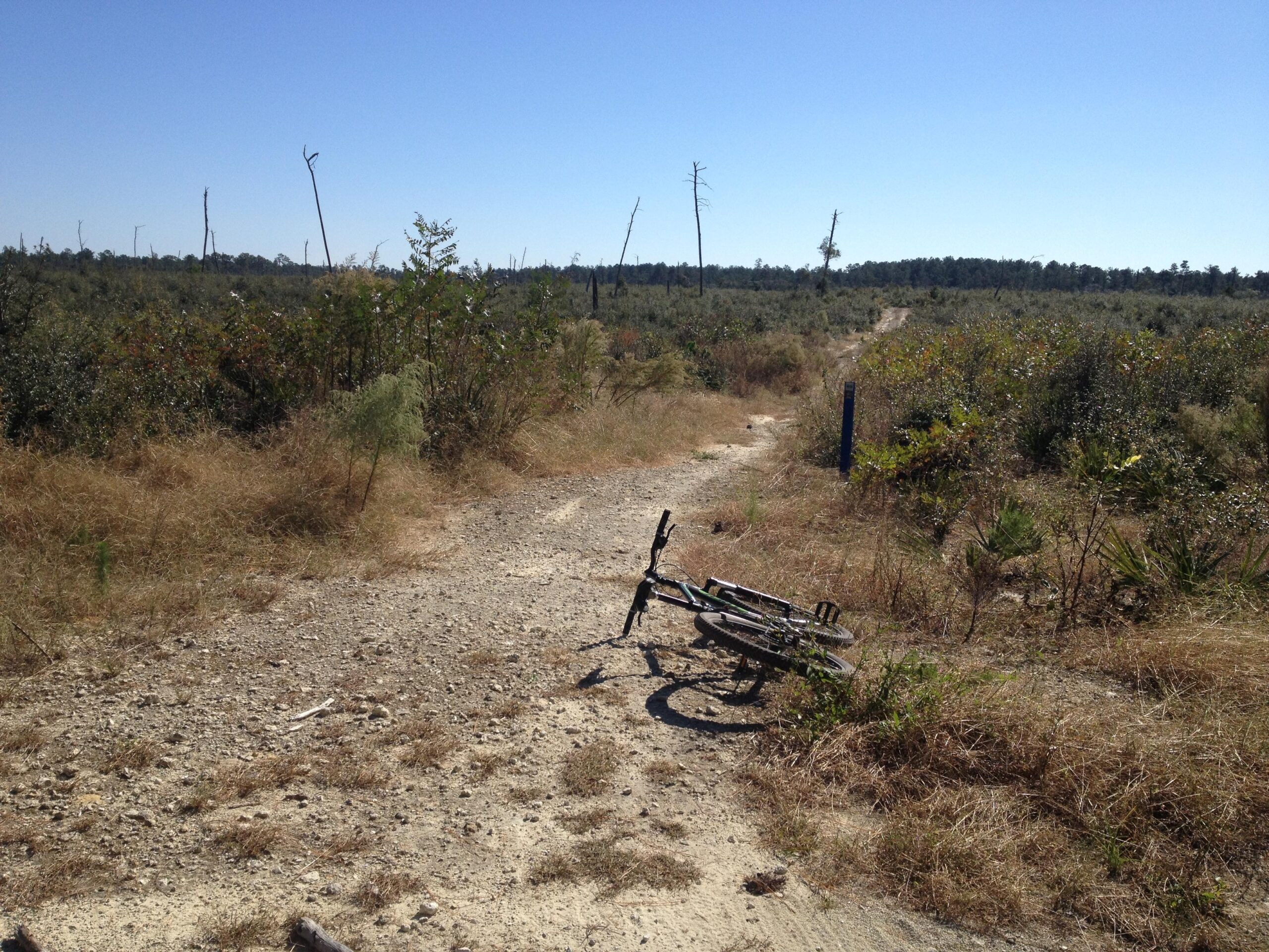 A dirt path winding through a sparse, grassy landscape with scattered shrubs and small trees. A black bicycle lies on its side at the edge of the path, with a clear blue sky above and a line of dead trees in the distance. Santos mountain bike trail.