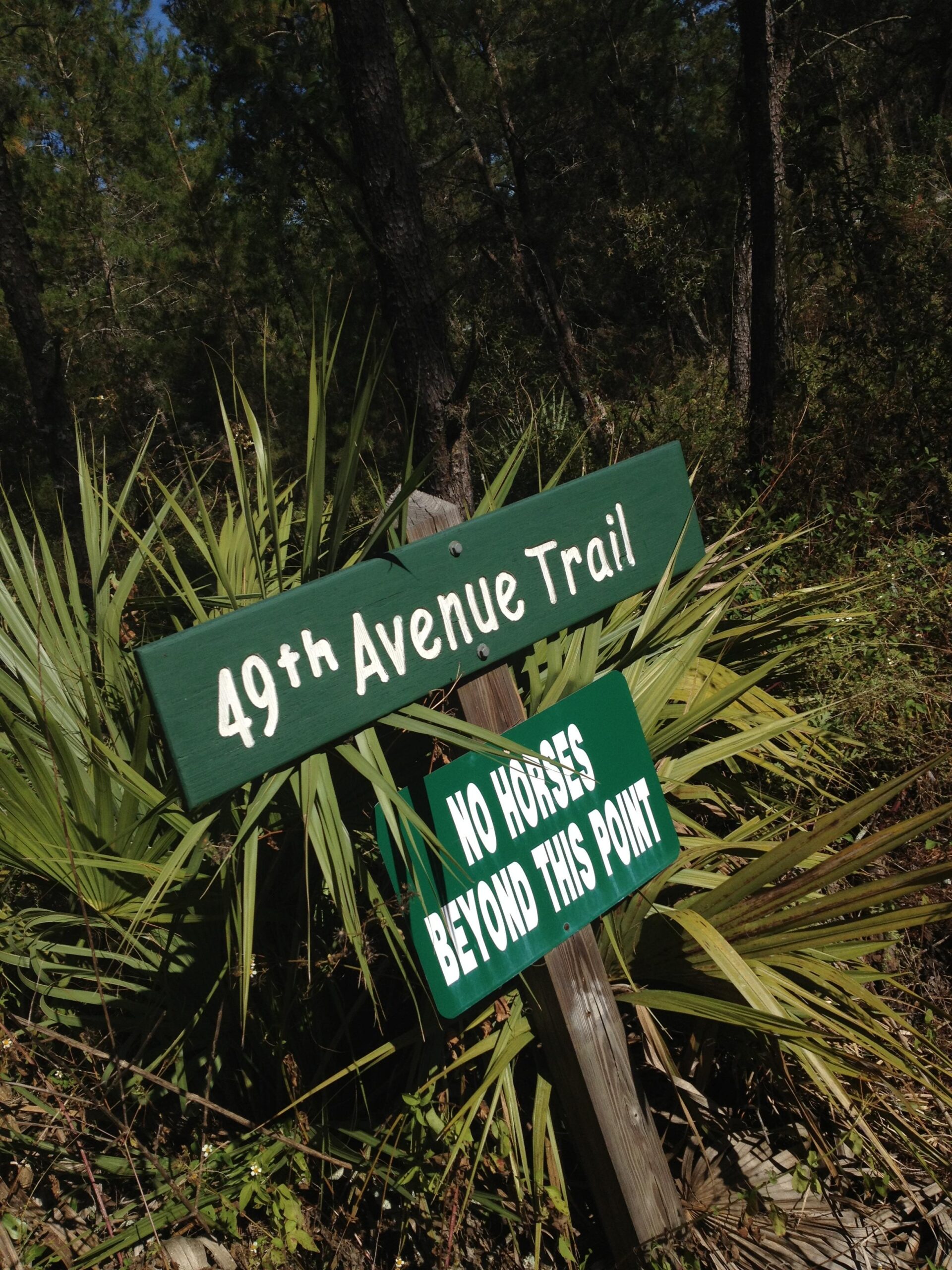A green wooden sign showing "49th Avenue Trail" and a second green sign that reads "No Horses Beyond This Point," surrounded by vegetation and trees. Santos mountain bike trail.