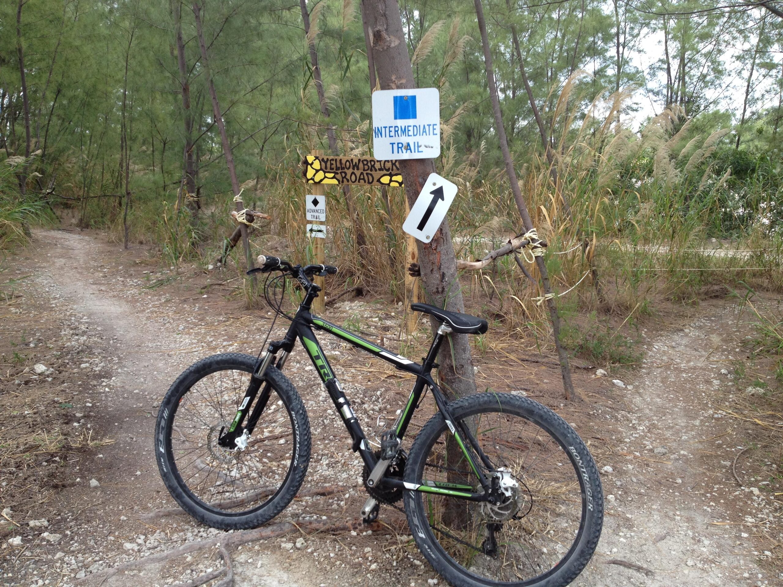 A mountain bike leaning against a tree near a trail signpost showing directions for an intermediate trail and a road labeled "Yellow Brick Road." The path is surrounded by greenery, including tall grass and trees. Virginia Key North Point mountain bike trail.