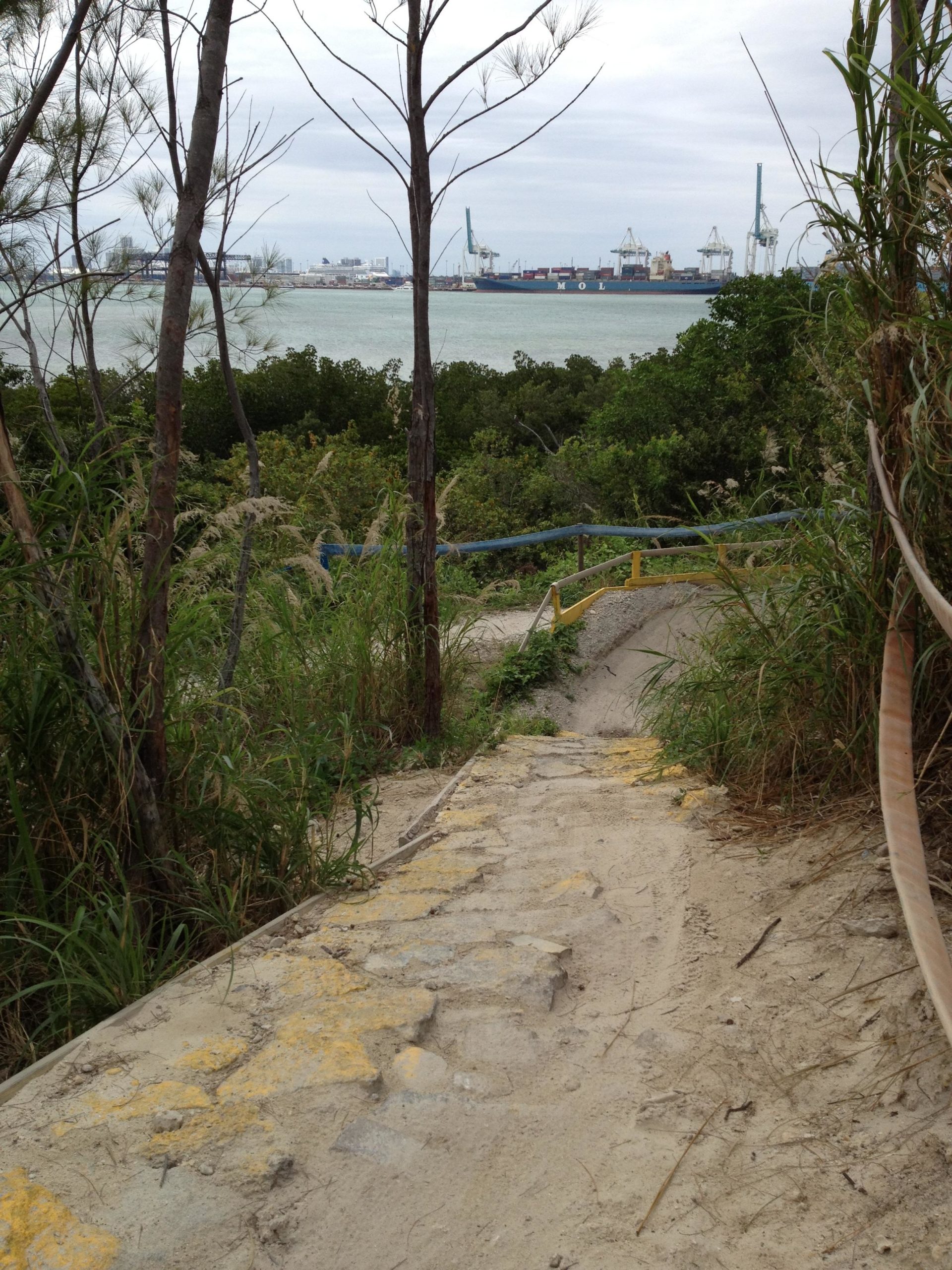 A descending path made of uneven stone and sandy soil, surrounded by tall grasses and slender trees, leading towards a water body. In the background, a harbor with large ships and cranes is visible under a cloudy sky. Virginia Key North Point mountain bike trail.