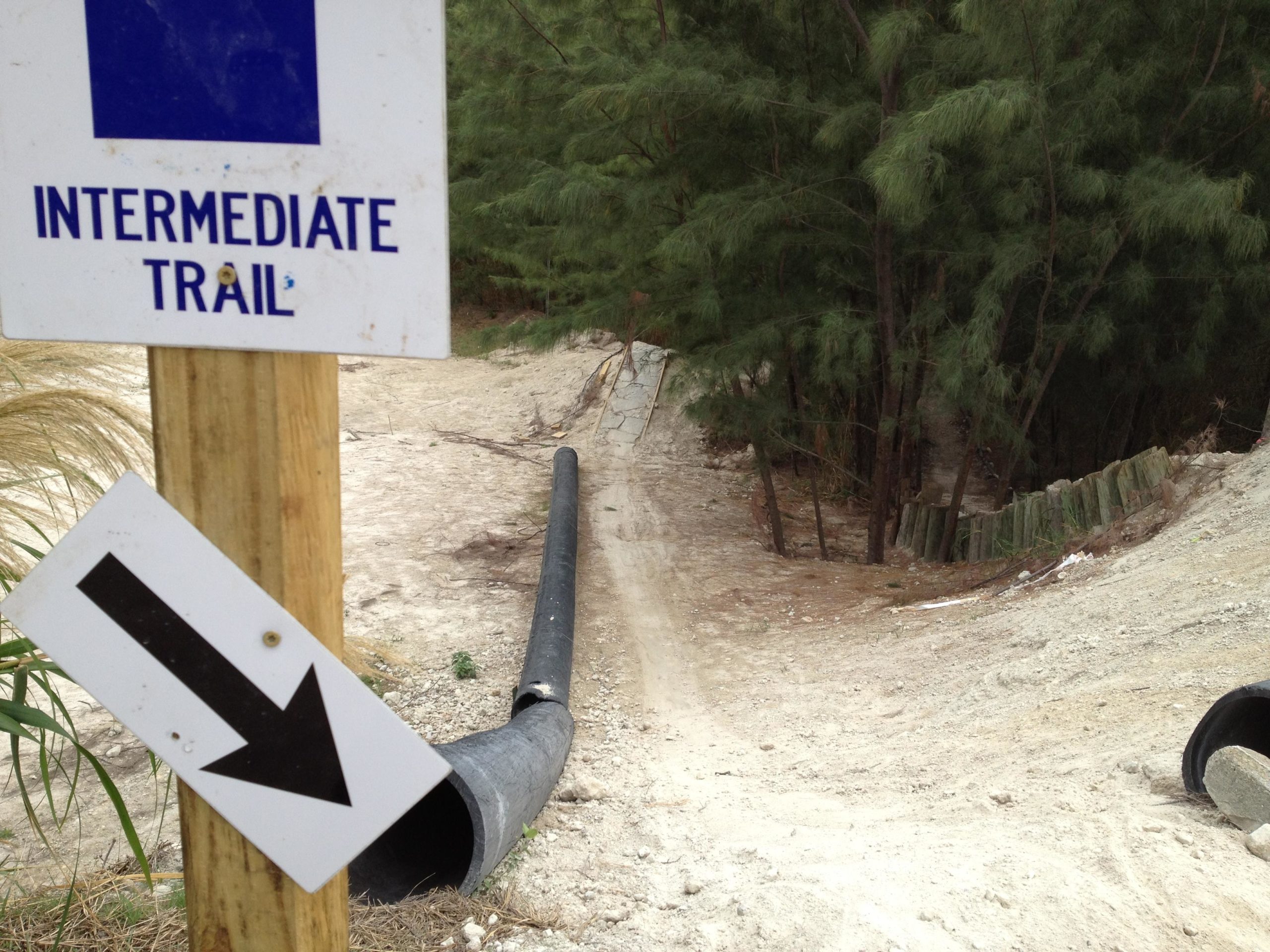 Sign indicating an intermediate trail with an arrow pointing downwards. The path is sandy with a visible drainage pipe and surrounded by trees in the background. Virginia Key North Point mountain bike trail.