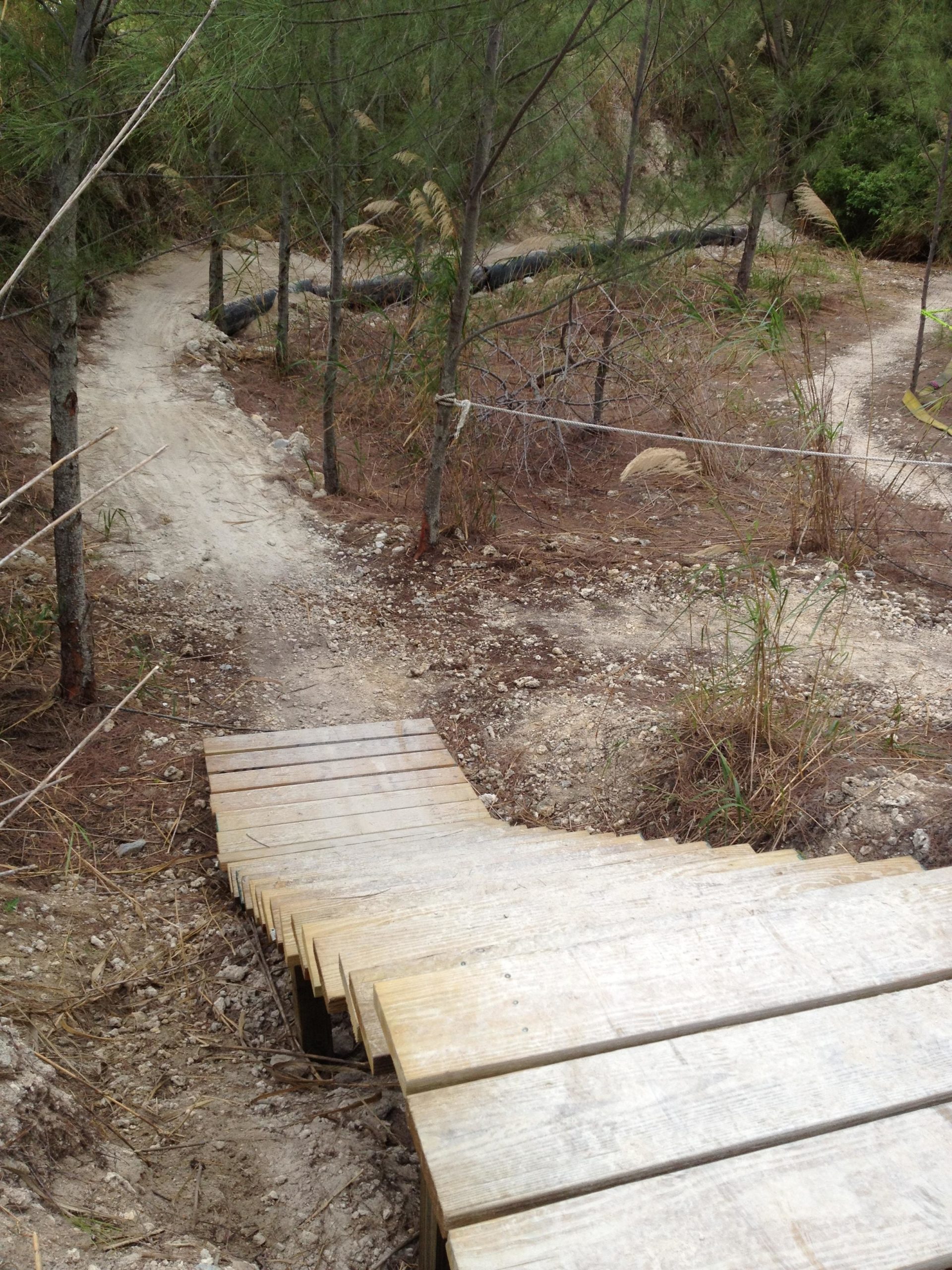 A wooden pathway curves over uneven terrain surrounded by trees and underbrush, leading toward a dirt trail in a natural setting. Virginia Key North Point mountain bike trail.