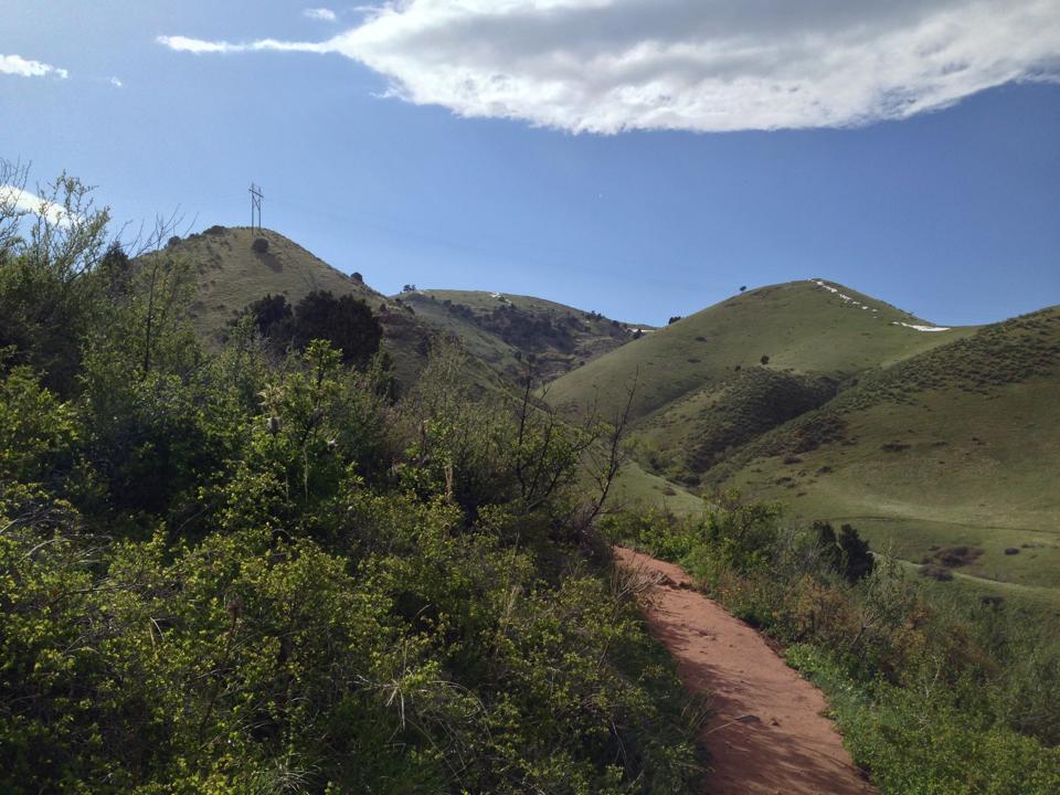 A scenic view of rolling green hills under a clear blue sky, with a dirt path leading through lush vegetation. Power lines are visible on one of the hills, and occasional patches of snow can be seen atop the mountains in the distance. Red Rocks / Dakota Ridge mountain bike trail.