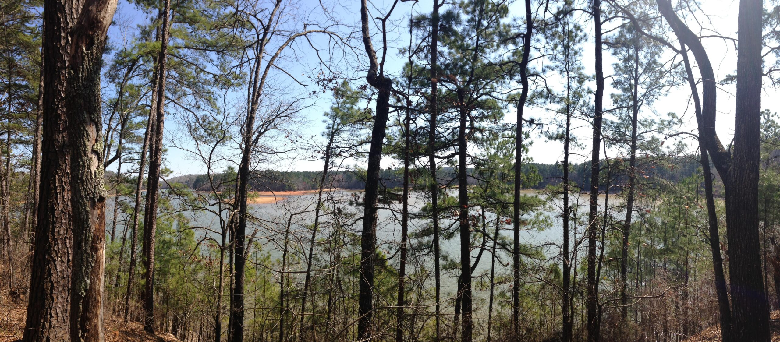 A panoramic view of a serene lake surrounded by trees. Tall pine trees with green foliage are in the foreground, while the calm water of the lake reflects the clear blue sky. In the distance, a sandy shoreline and more trees are visible, creating a tranquil natural setting. Blankets Creek mountain bike trail.