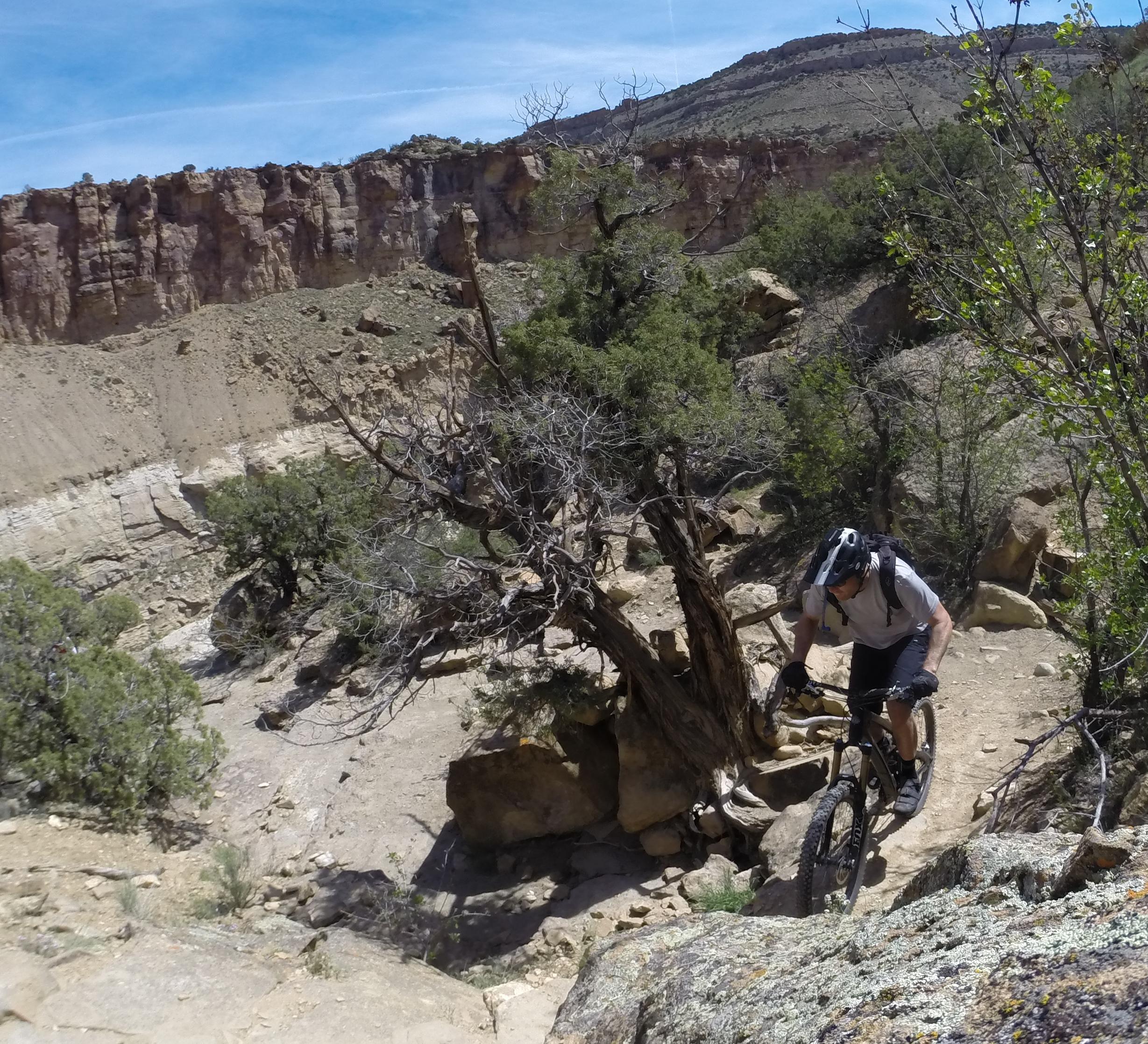 A mountain biker navigating a rocky trail surrounded by rugged terrain and sparse vegetation under a clear blue sky. The cyclist is wearing a helmet and riding gear, maneuvering past large stones and dry, twisted trees typical of a desert landscape. Palisade Rim mountain bike trail.