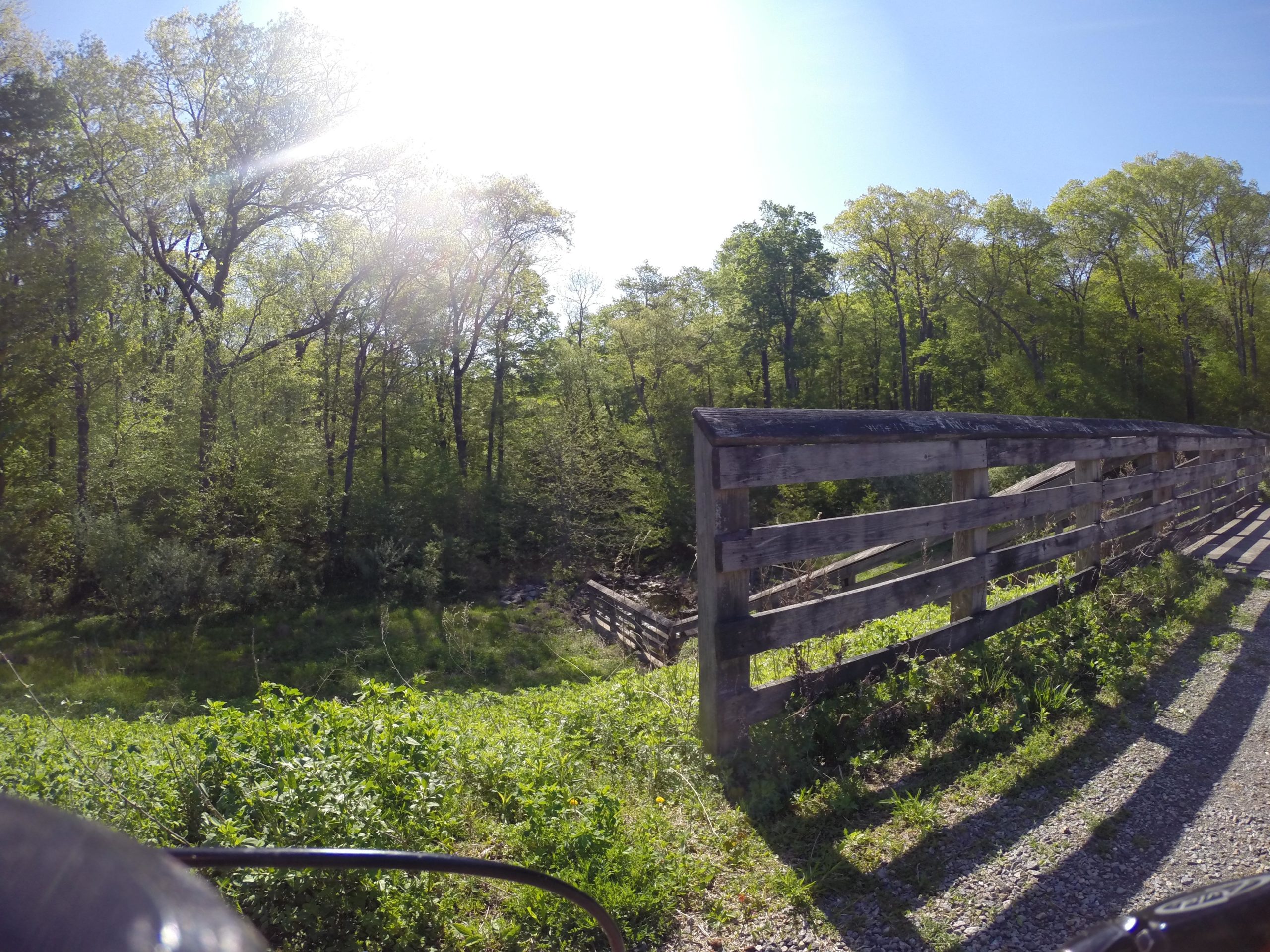 A sunlit scene featuring a wooden rail fence surrounded by lush green foliage and trees. The image captures a serene natural landscape, with a clear blue sky and bright sunlight filtering through the leaves. Grass and small plants are visible in the foreground, contributing to the vibrant greenery of the setting. Allamuchy Mt. State Park: Deer Park mountain bike trail.