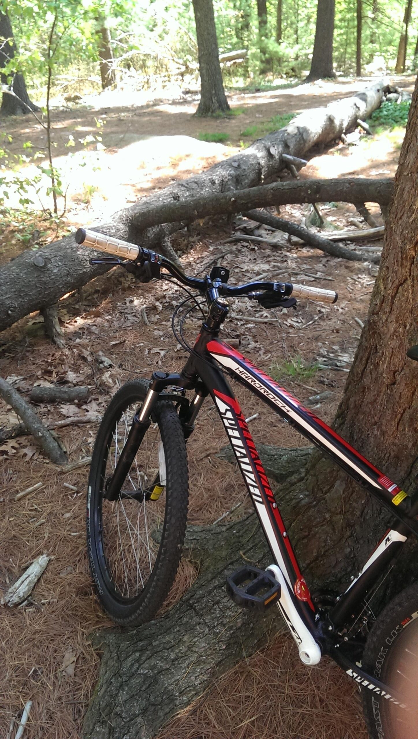 Specialized hardrock: A mountain bike resting against a tree in a forested area, surrounded by pine needles and fallen branches. The bike features a black and red frame, with prominent handlebars and knobby tires suitable for off-road riding. Sunlight filters through the trees in the background.