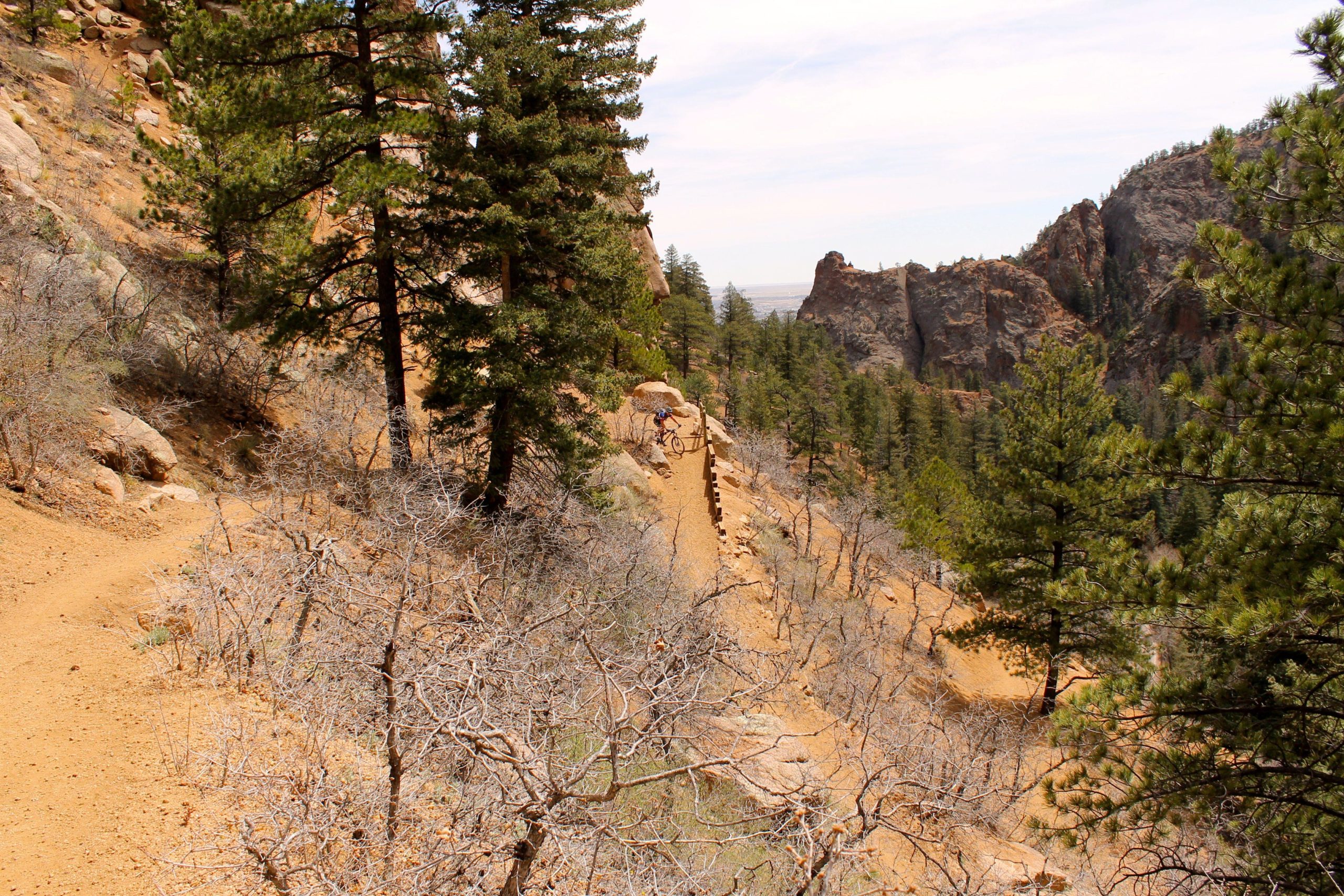 A dirt trail winding through a mountainous area, surrounded by pine trees and rocky outcrops. Some areas of dry, sparse vegetation can be seen alongside the path. The sky above is mostly clear, indicating a bright day. A cyclist is riding along the trail, adding a sense of activity to the serene natural landscape. Columbine mountain bike trail.