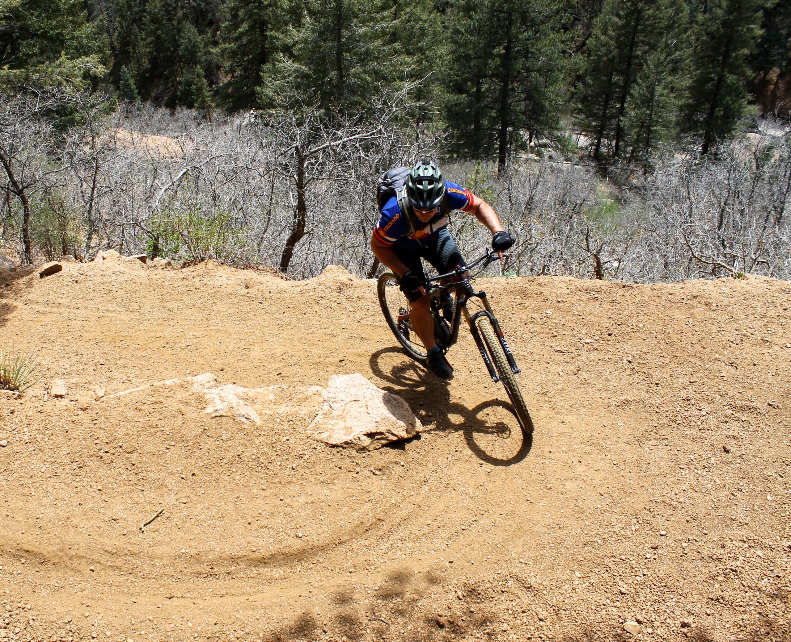 A mountain biker navigates a curved dirt trail on a hillside, surrounded by a mix of green coniferous trees and bare branches, under bright sunlight. Columbine mountain bike trail.