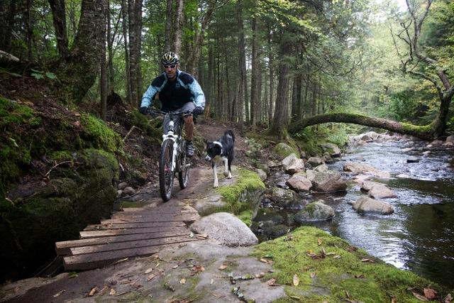 A person riding a mountain bike on a wooden bridge along a forest trail, with a dog walking beside them. Surrounding the trail are trees and lush greenery, while a stream flows nearby, lined with rocks. Vallee Bras Du Nord Secteur Shannahan mountain bike trail.