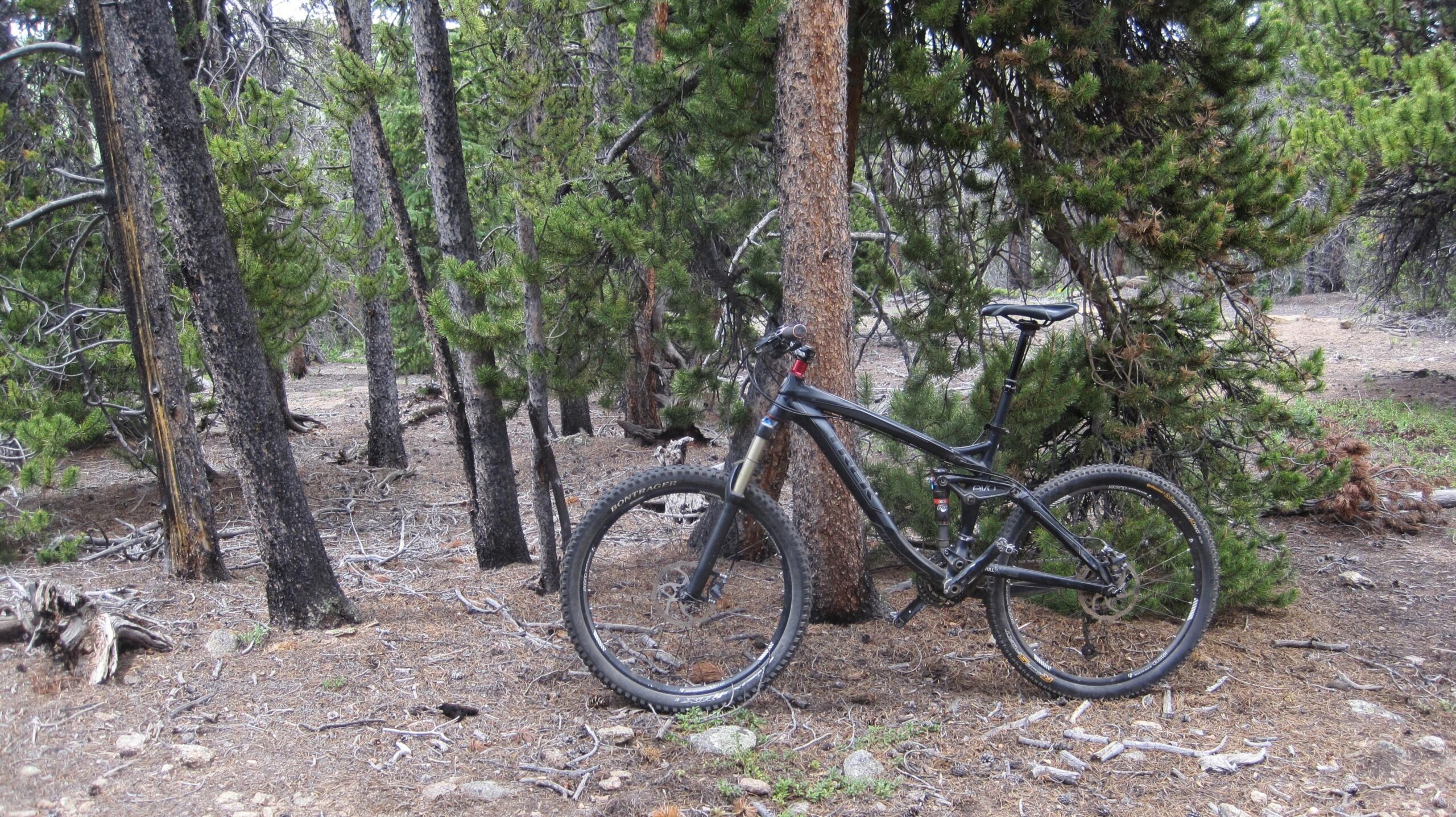 Trek Remedy 7: A mountain bike leaning against a tree in a dense forest with green pine trees and a dirt path visible in the background. The ground is covered with pine needles and small rocks.