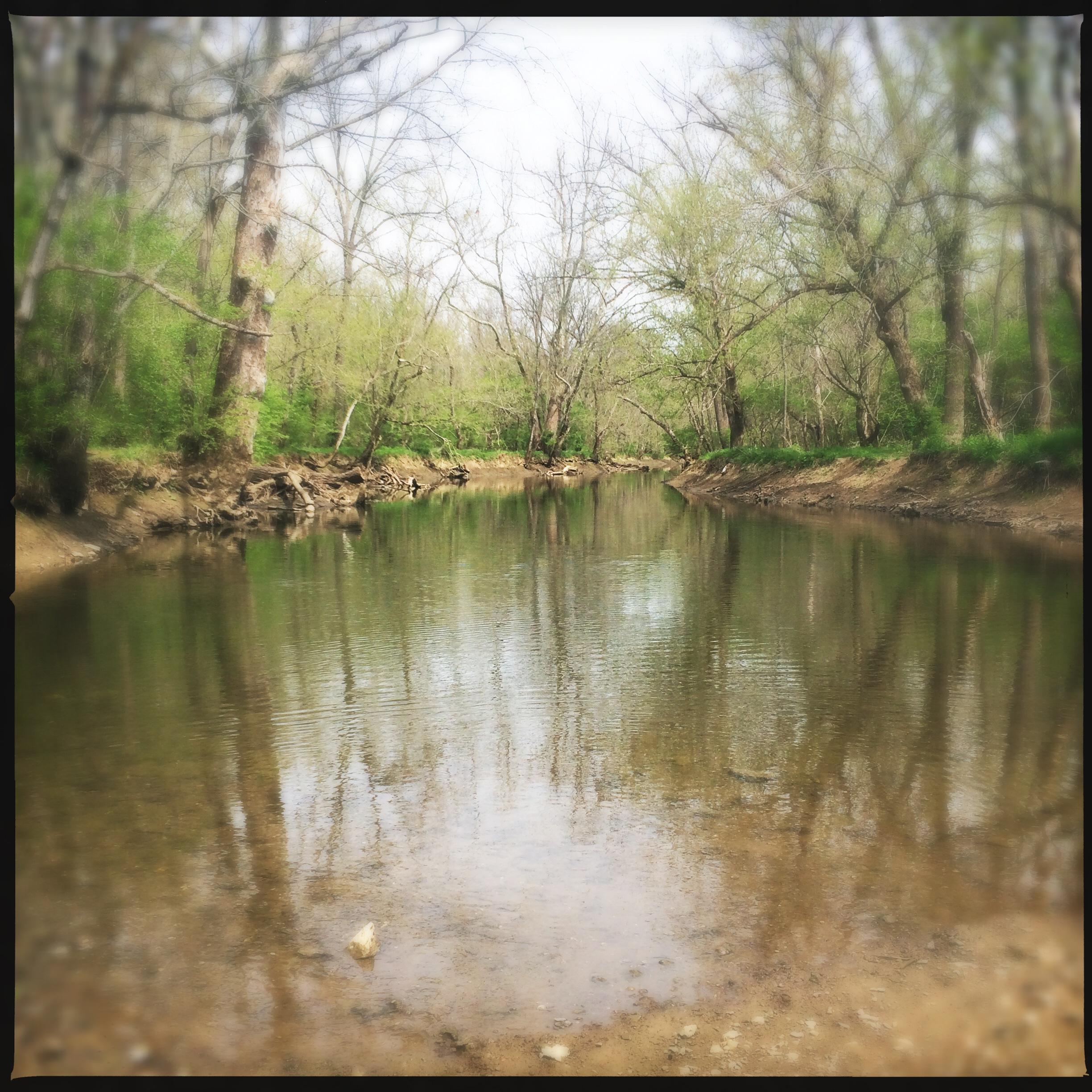 A tranquil view of a narrow, reflective river surrounded by sparse trees and lush greenery on the banks. The water appears calm and clear, with pebbles visible at the bottom, while the surrounding trees are bare, suggesting early spring. The scene captures a serene and peaceful natural landscape. Veterans Park mountain bike trail.