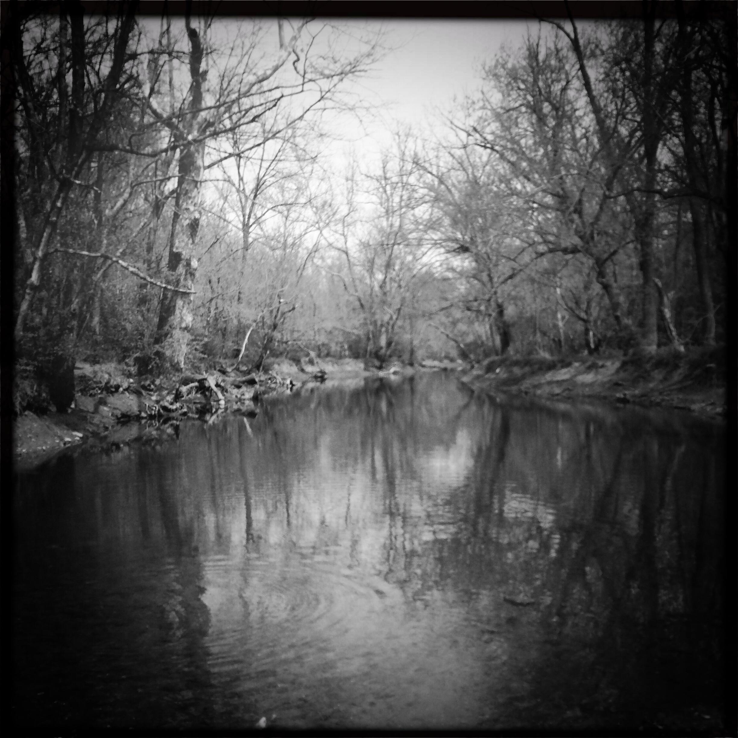 A tranquil black and white image of a serene river surrounded by bare trees, reflecting the calm water. The scene captures the stillness of nature, with ripples appearing on the surface of the water. The stark contrast emphasizes the peaceful atmosphere of the landscape. Veterans Park mountain bike trail.
