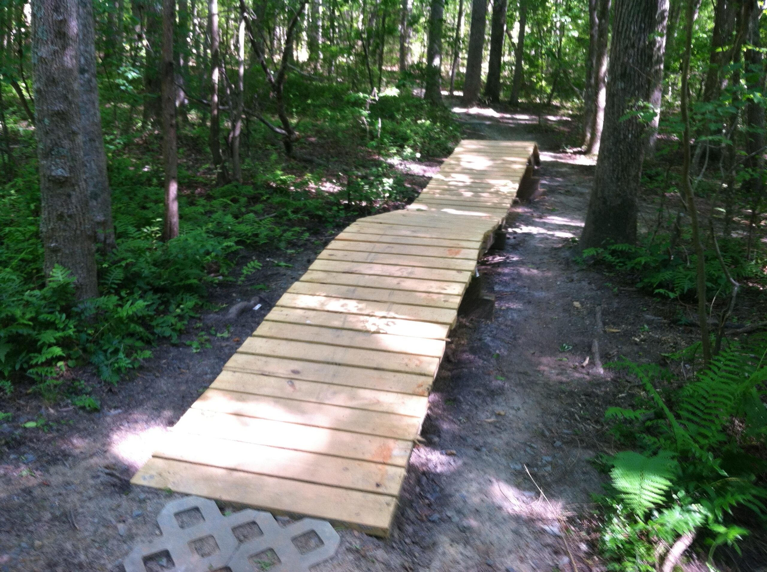 A wooden bridge curving through a lush forest trail, surrounded by green ferns and trees. Sunlight filters through the leaves, illuminating the path ahead. Colonel Francis Beatty Park mountain bike trail.