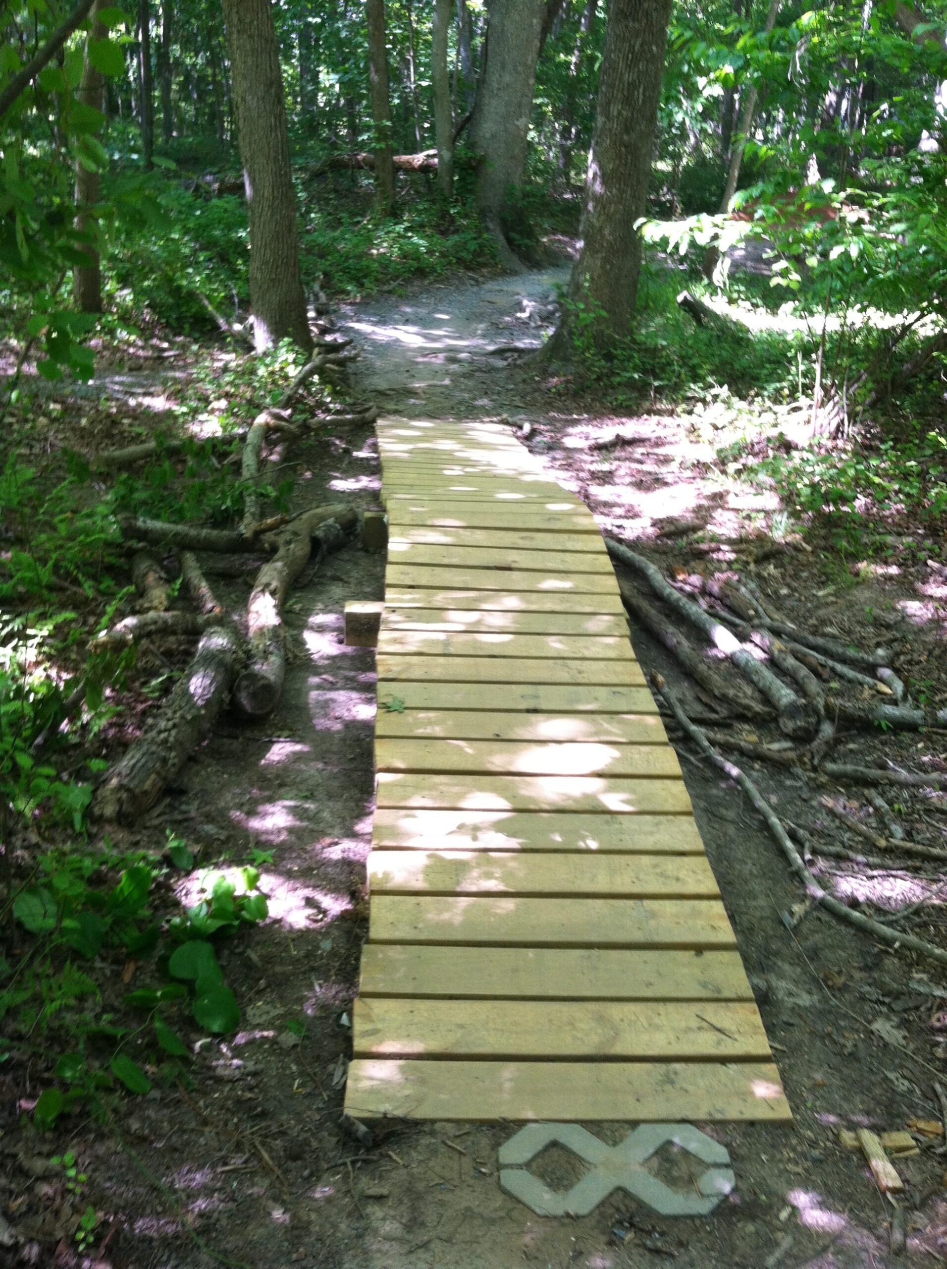A wooden plank bridge crossing a trail in a shaded forest area, surrounded by trees and greenery. The bridge is partially covered in dappled sunlight, and there are roots and soil visible along the sides of the path. A decorative stone with an infinity symbol is positioned at the base of the bridge. Colonel Francis Beatty Park mountain bike trail.