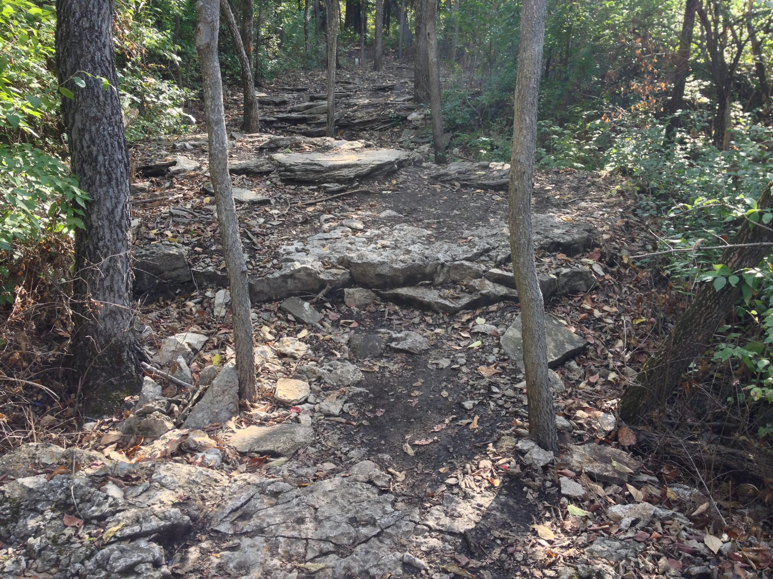 A rocky hiking trail surrounded by trees and lush greenery, with scattered leaves on the ground. The path is uneven, featuring natural stone steps and exposed roots. Swope Park Trail mountain bike trail.