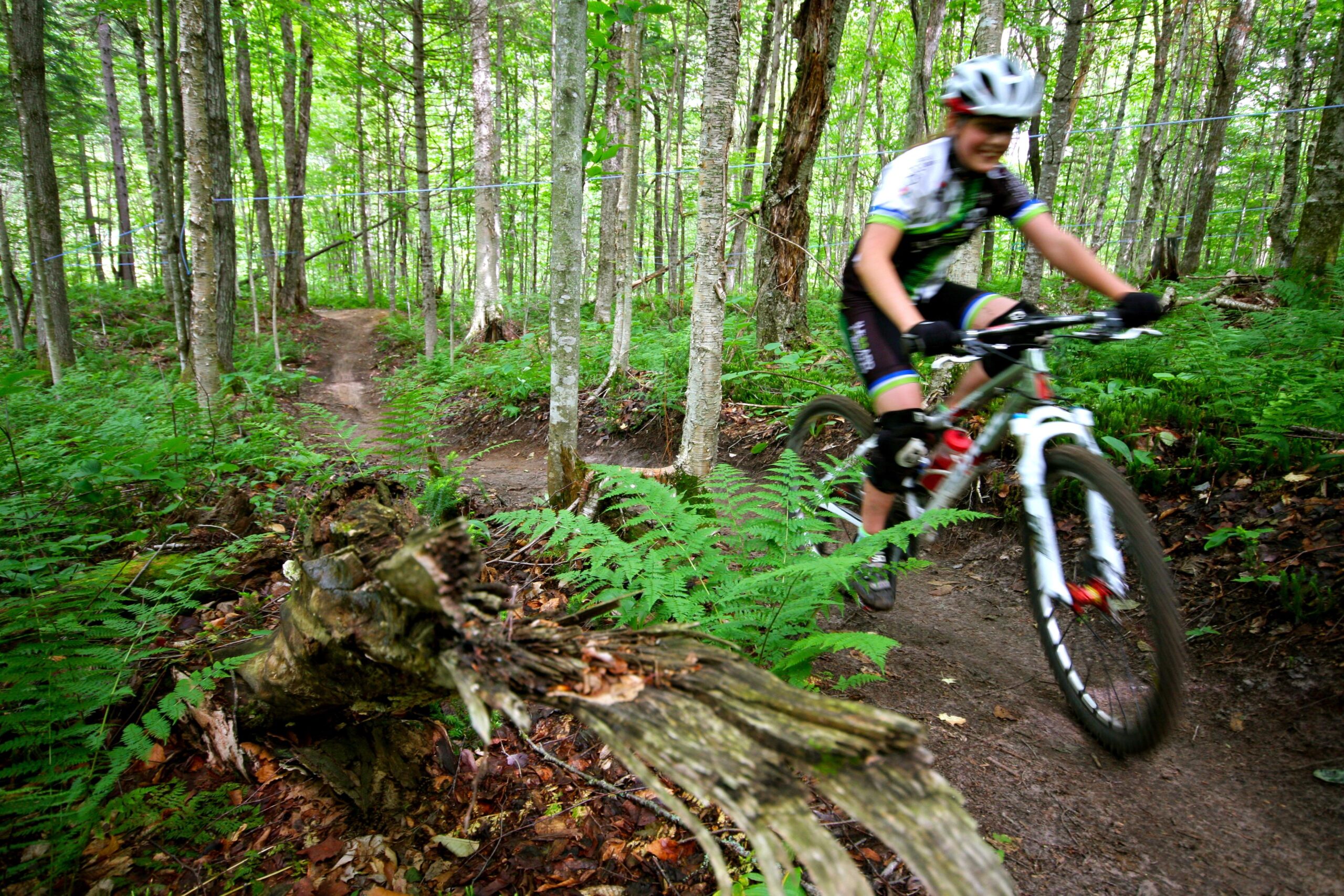 A mountain biker descends a narrow dirt trail through a lush green forest, surrounded by trees and ferns. The biker is in motion, wearing a helmet and cycling gear, with a focus on speed and agility. A fallen log is visible in the foreground, adding to the natural scenery. Vallee Bras Du Nord Secteur Shannahan mountain bike trail.