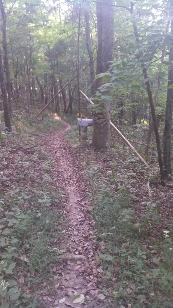 A winding dirt path through a lush, green forest, with trees lining both sides and fallen leaves scattered along the ground. A small wooden structure is partially visible on the left side, blending into the natural surroundings. Skullbuster mountain bike trail.